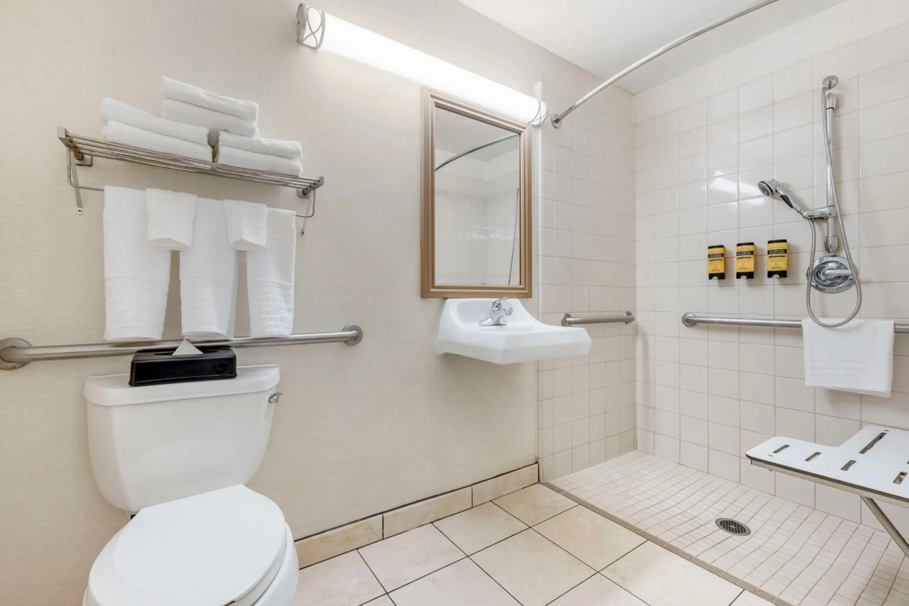 Queen Room with Sofa Bed and Roll-In Shower - Disability Access in Best Western Plus Lake Elsinore Inn & Suites