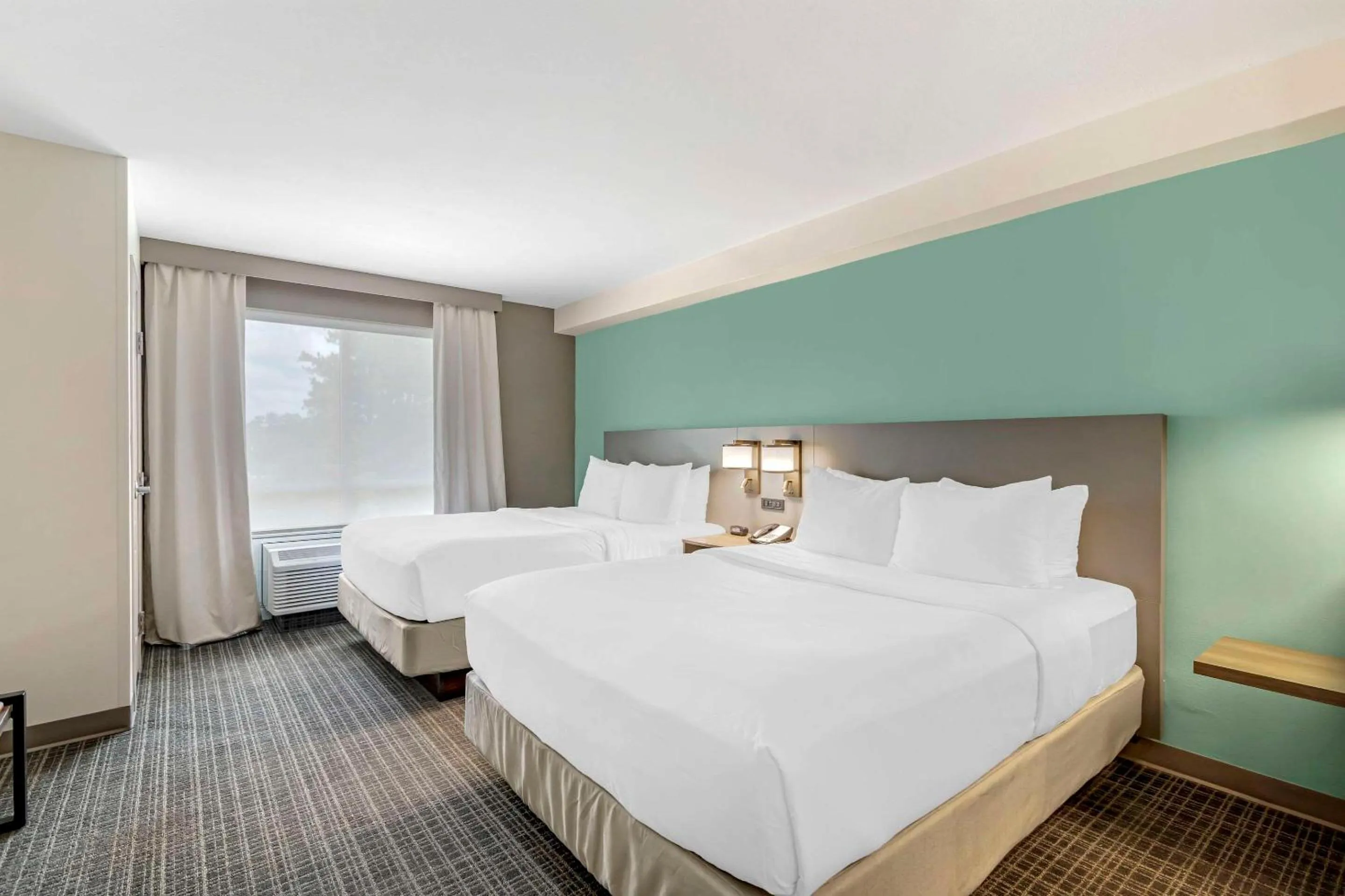 Queen Suite - Non-Smoking in Comfort Suites Valdosta Mall Area