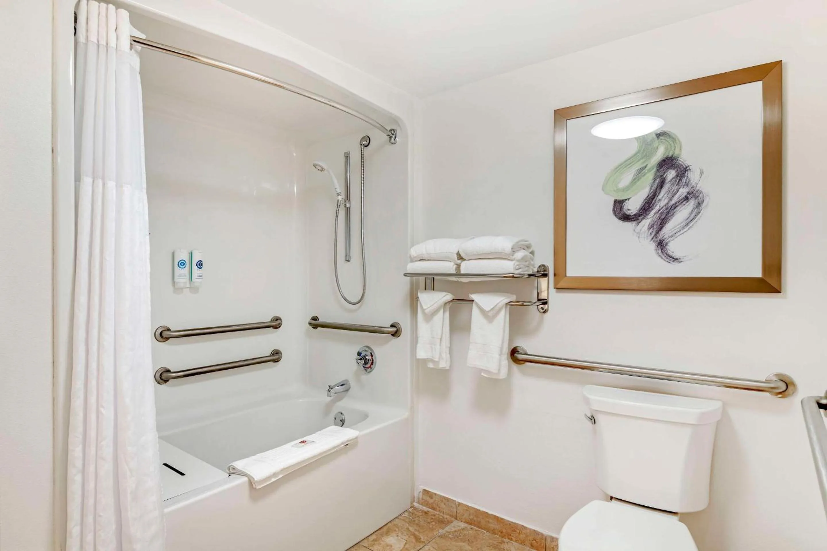 King Suite - Accessible/Non-Smoking in Comfort Suites Valdosta Mall Area