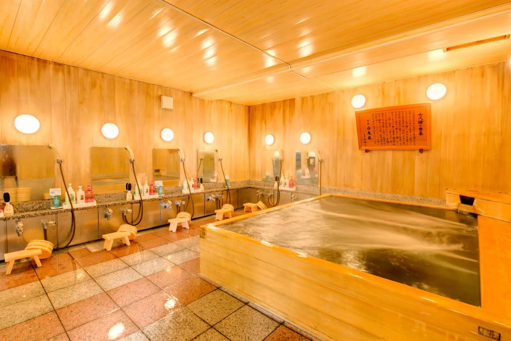 Twin Room - single occupancy in Nara Hakushikaso