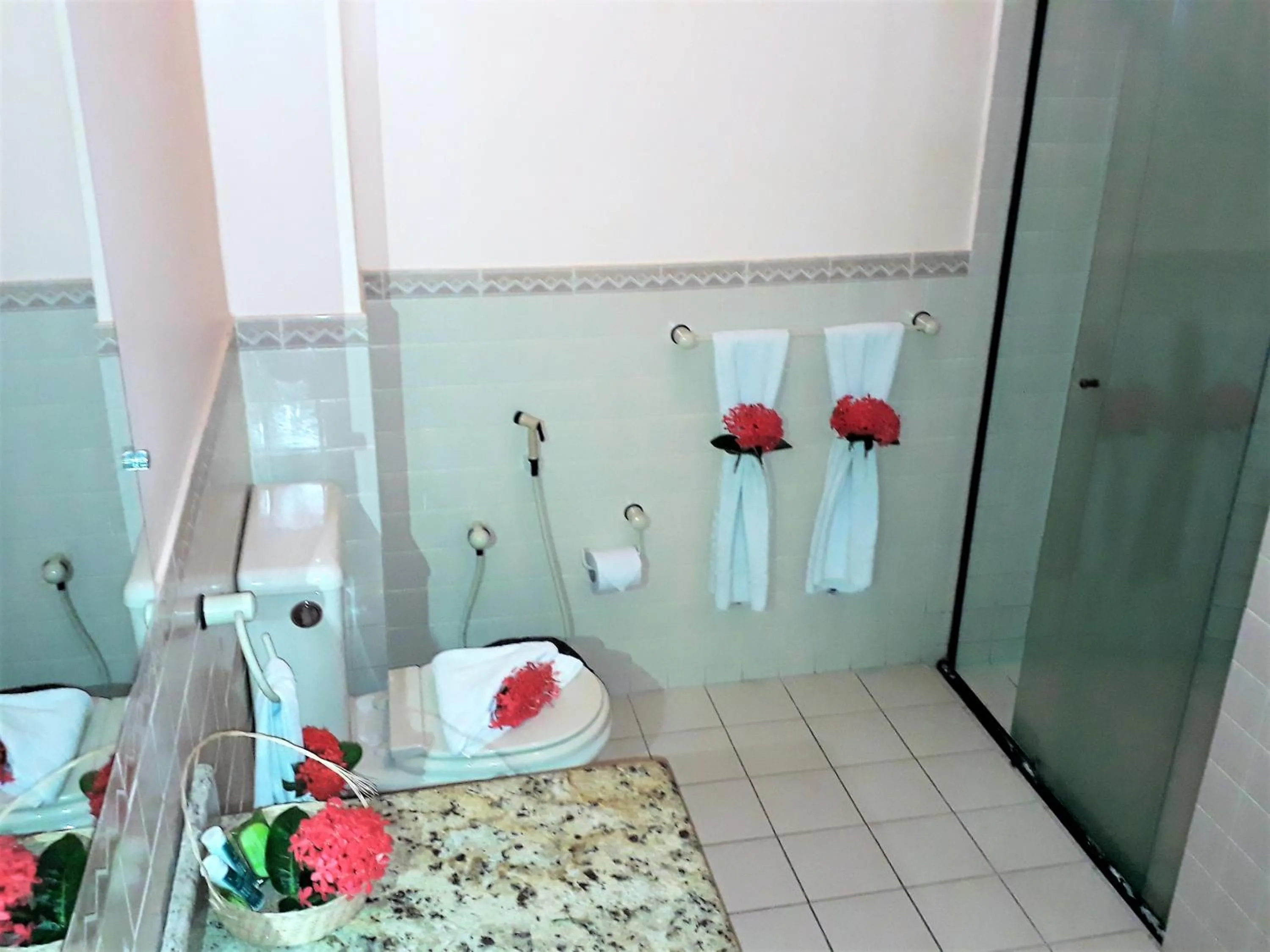 Standard Double Room in Hotel D'Anatureza