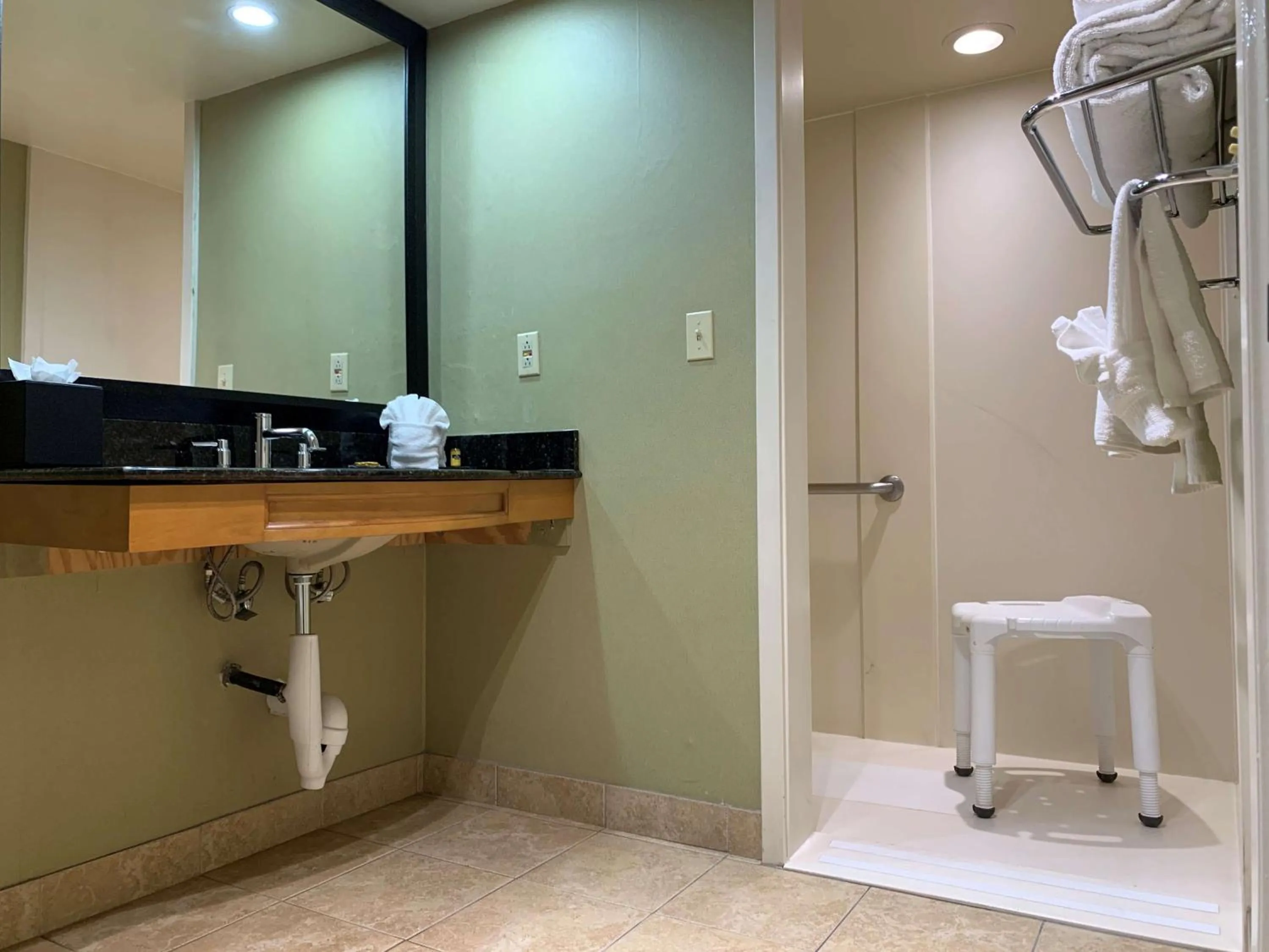 King Room with Roll-in Shower - Disability Access/Non-Smoking in Best Western Plus Las Brisas Hotel