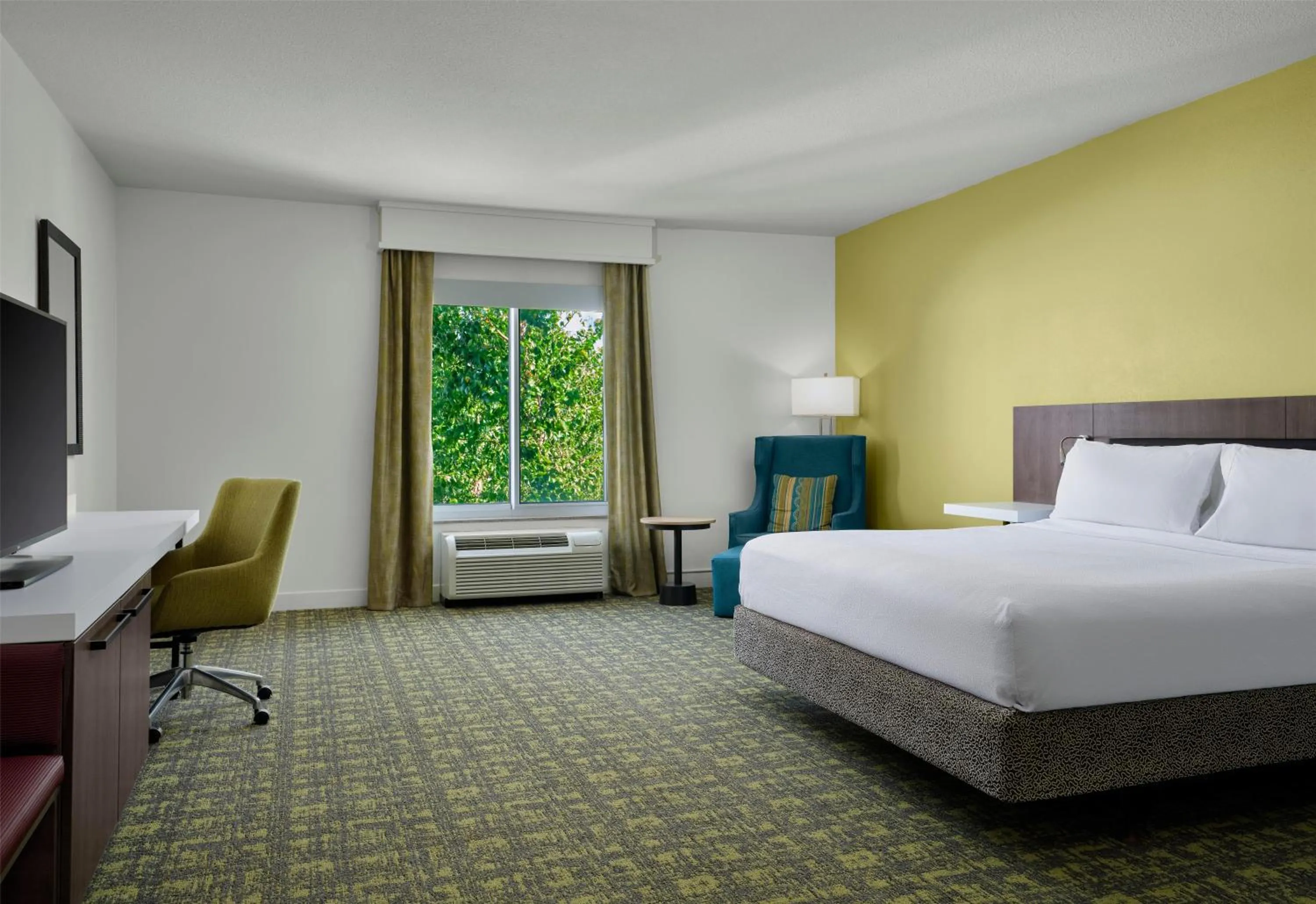 King Room with Tub - Mobility and Hearing Access in Hilton Garden Inn Meridian
