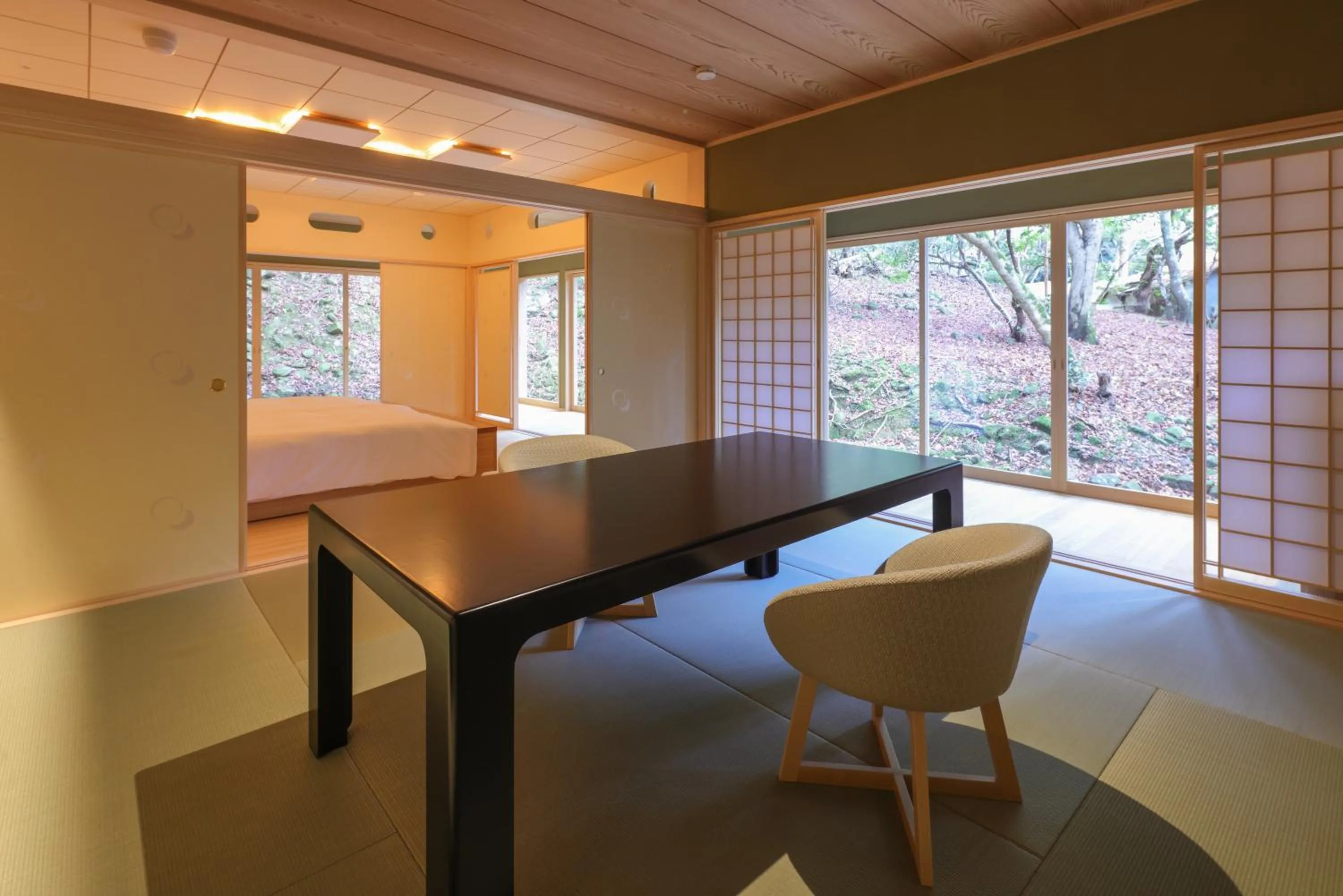 Twin Room with Mountain View - single occupancy in Tsukihitei