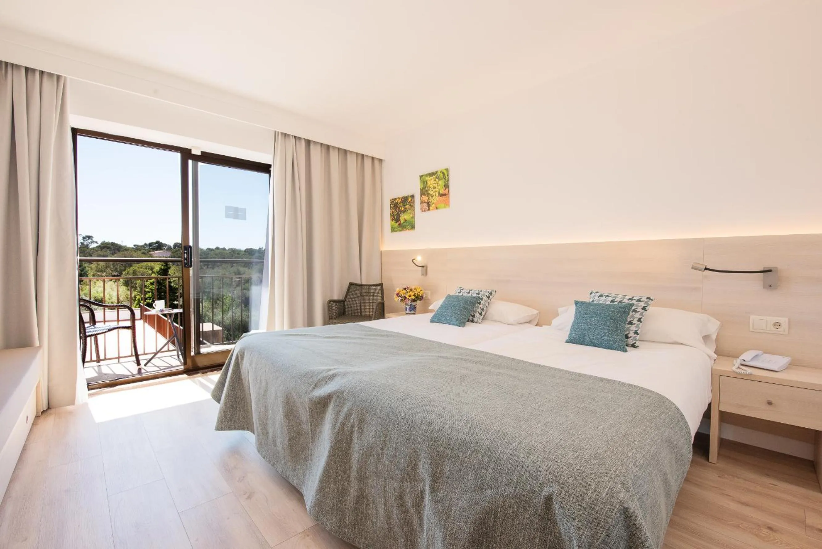 Studio - single occupancy in Hotel Playa Mondrago