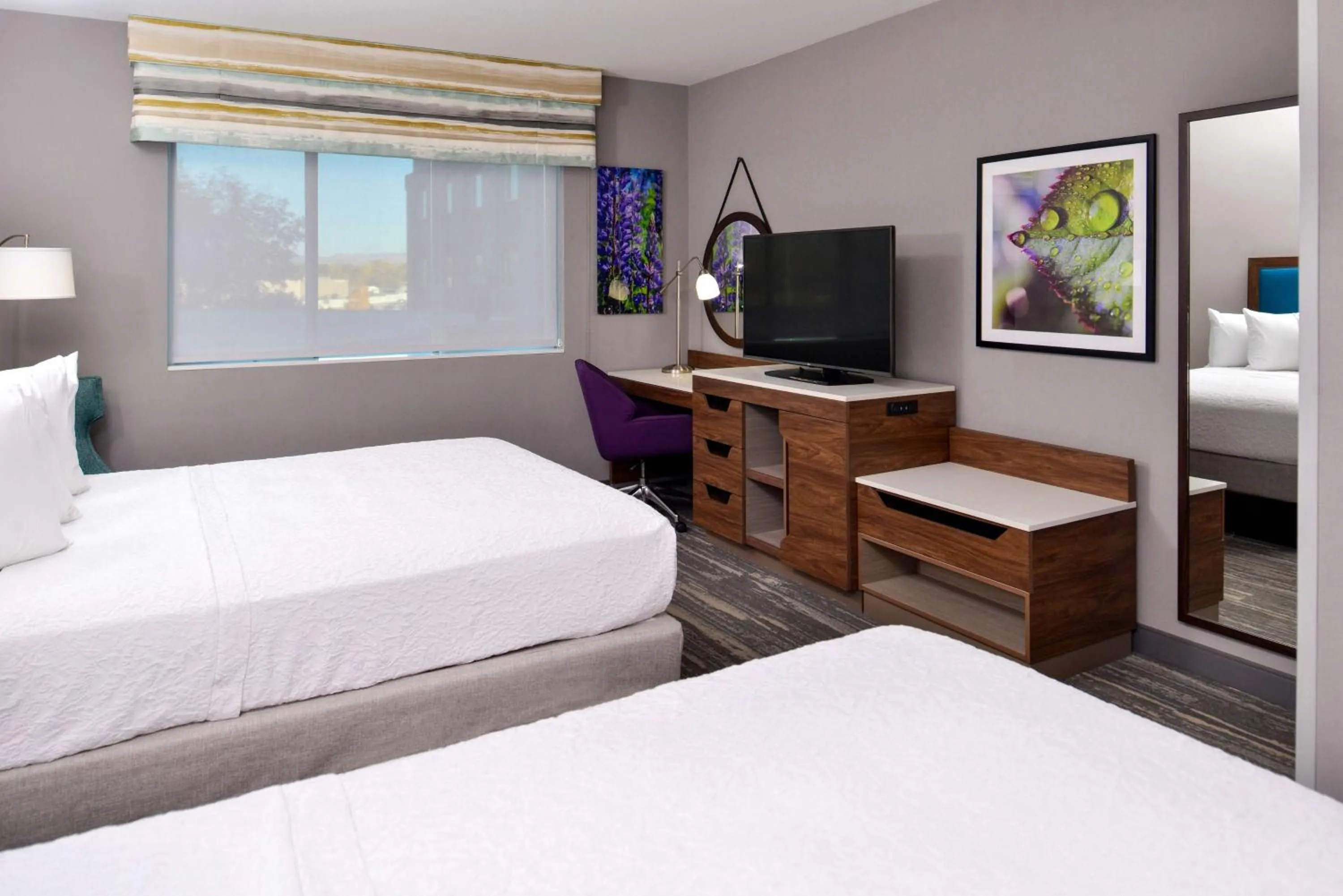 Deluxe Queen Studio  in Hampton Inn & Suites Boise/Spectrum