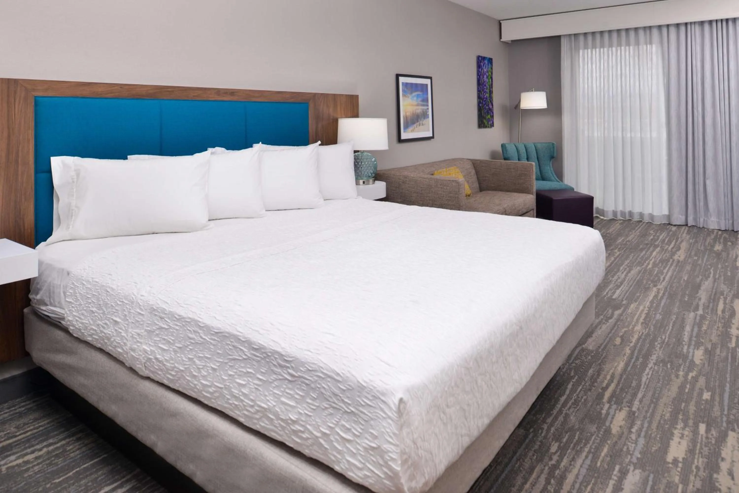 Deluxe King Studio in Hampton Inn & Suites Boise/Spectrum
