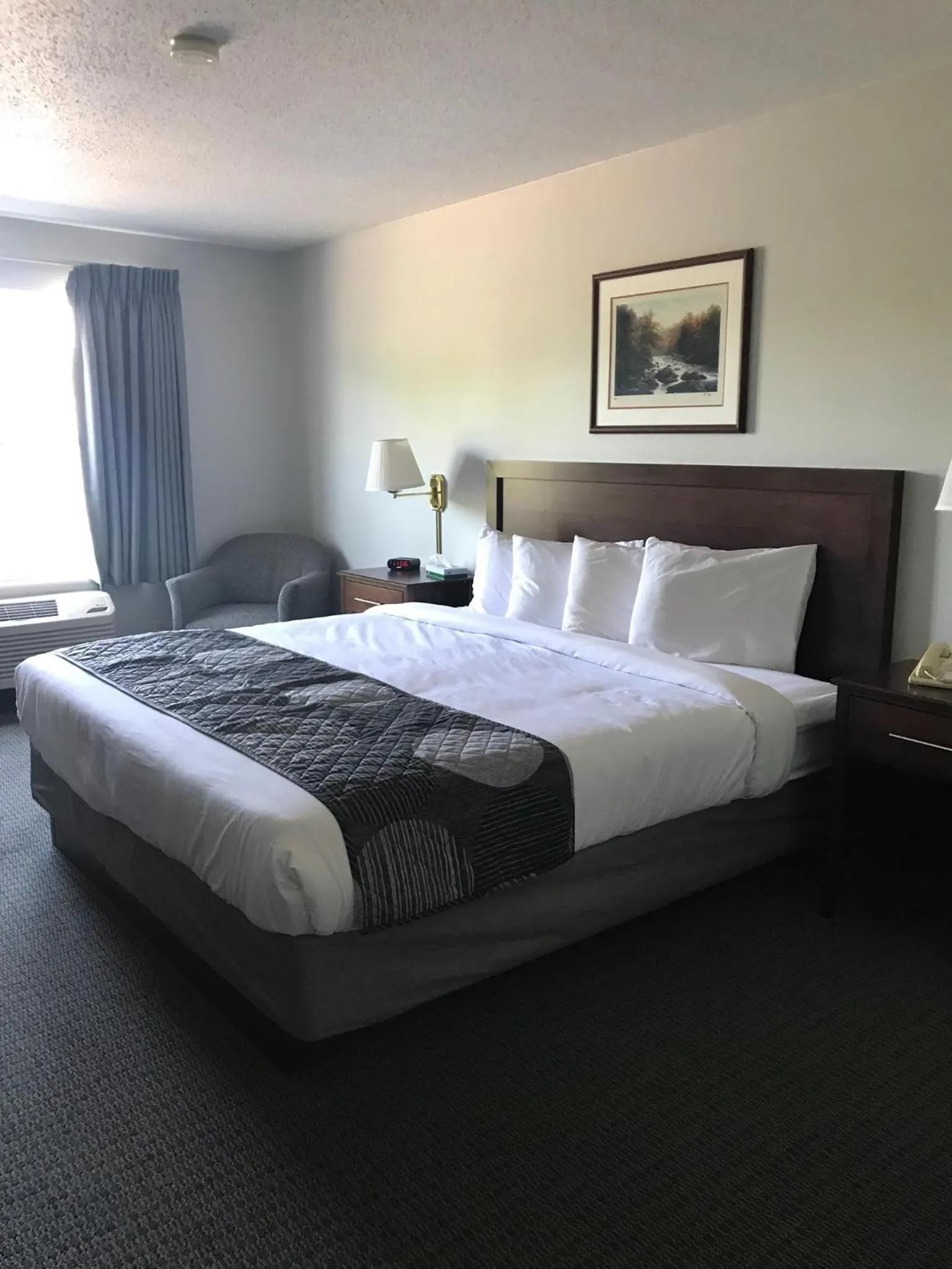 Standard King Room in GrandStay Hotel & Suites Hastings