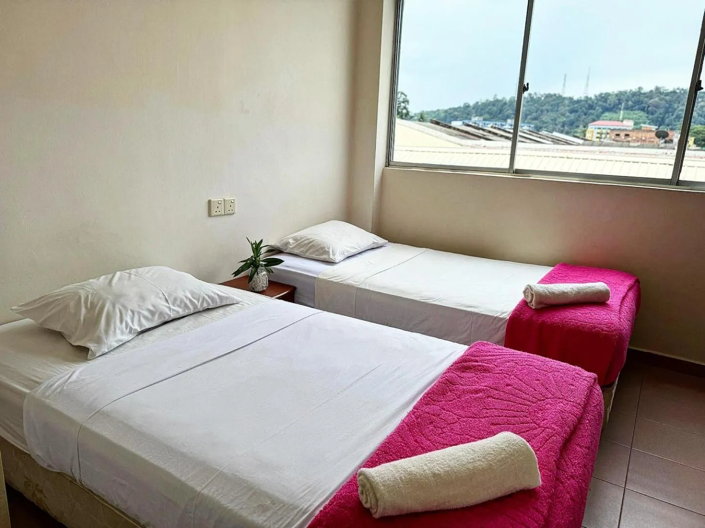 Standard Twin Room in Town Inn Hotel - Rainforest