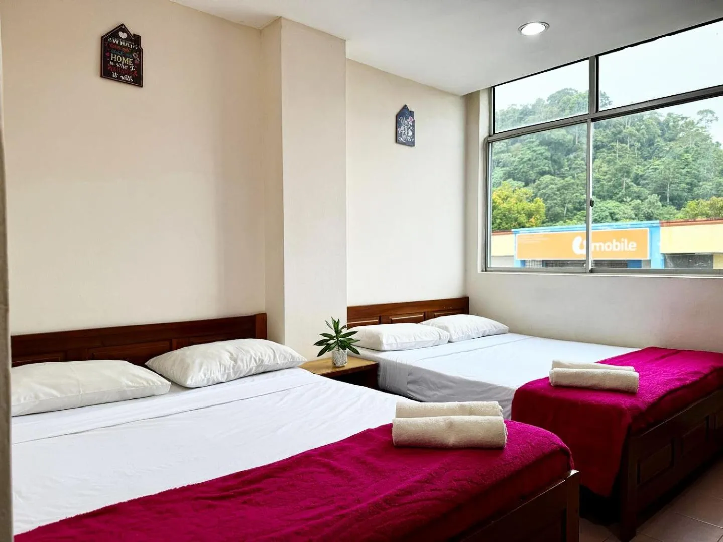 Standard Family Room in Town Inn Hotel - Rainforest