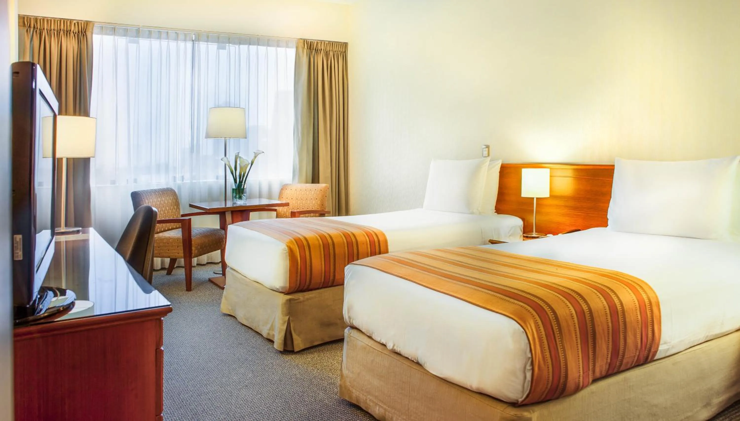 Standard Twin Room in Del Prado Hotel