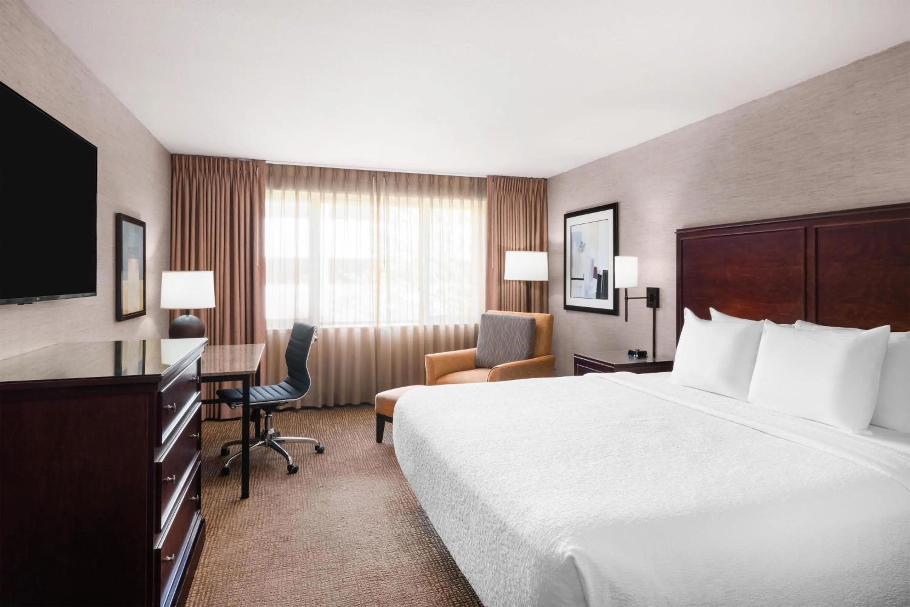 King Room - Non-Smoking in Eastgate Hotel - BW Signature Collection