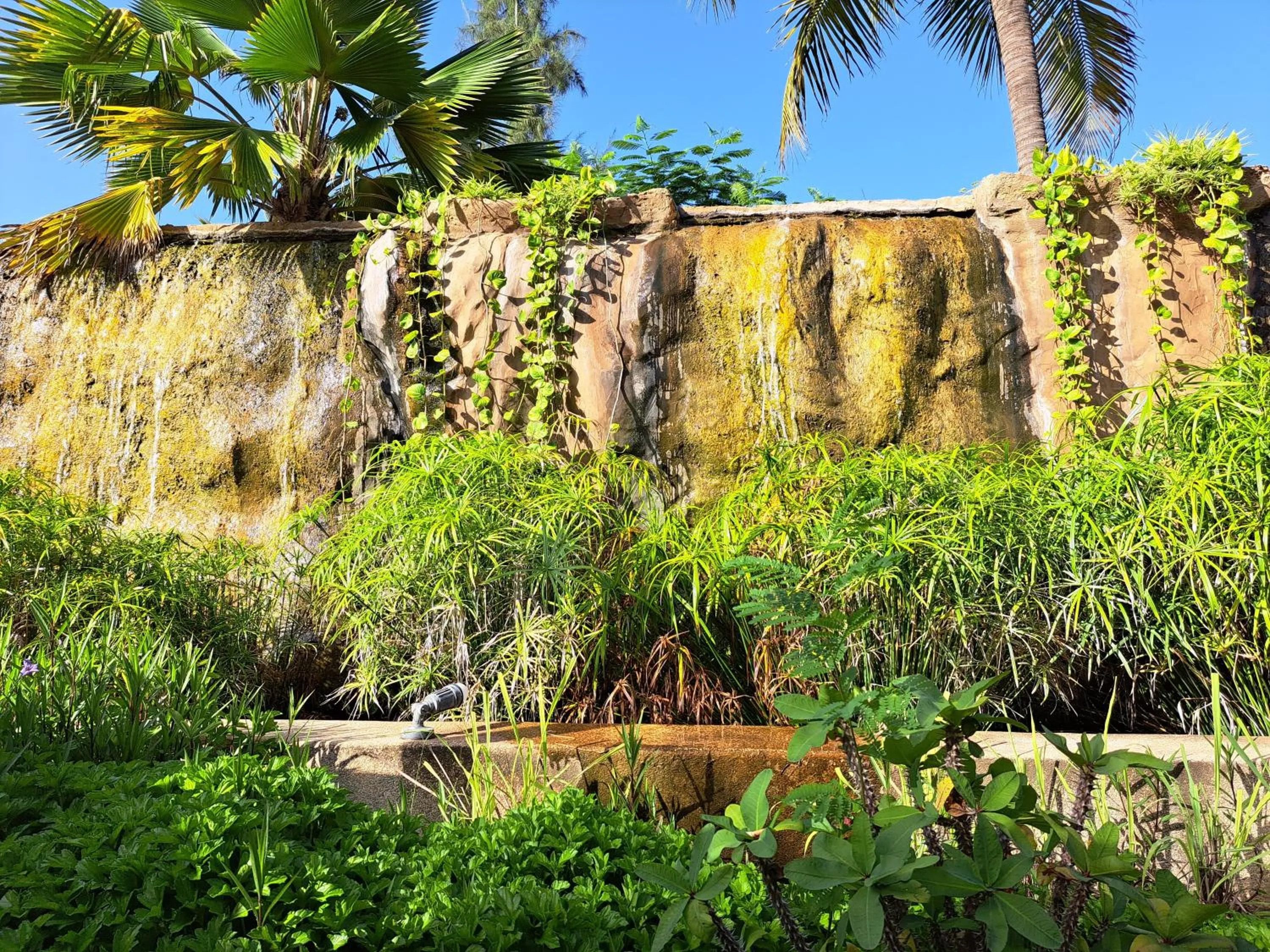 Garden in Neptune
