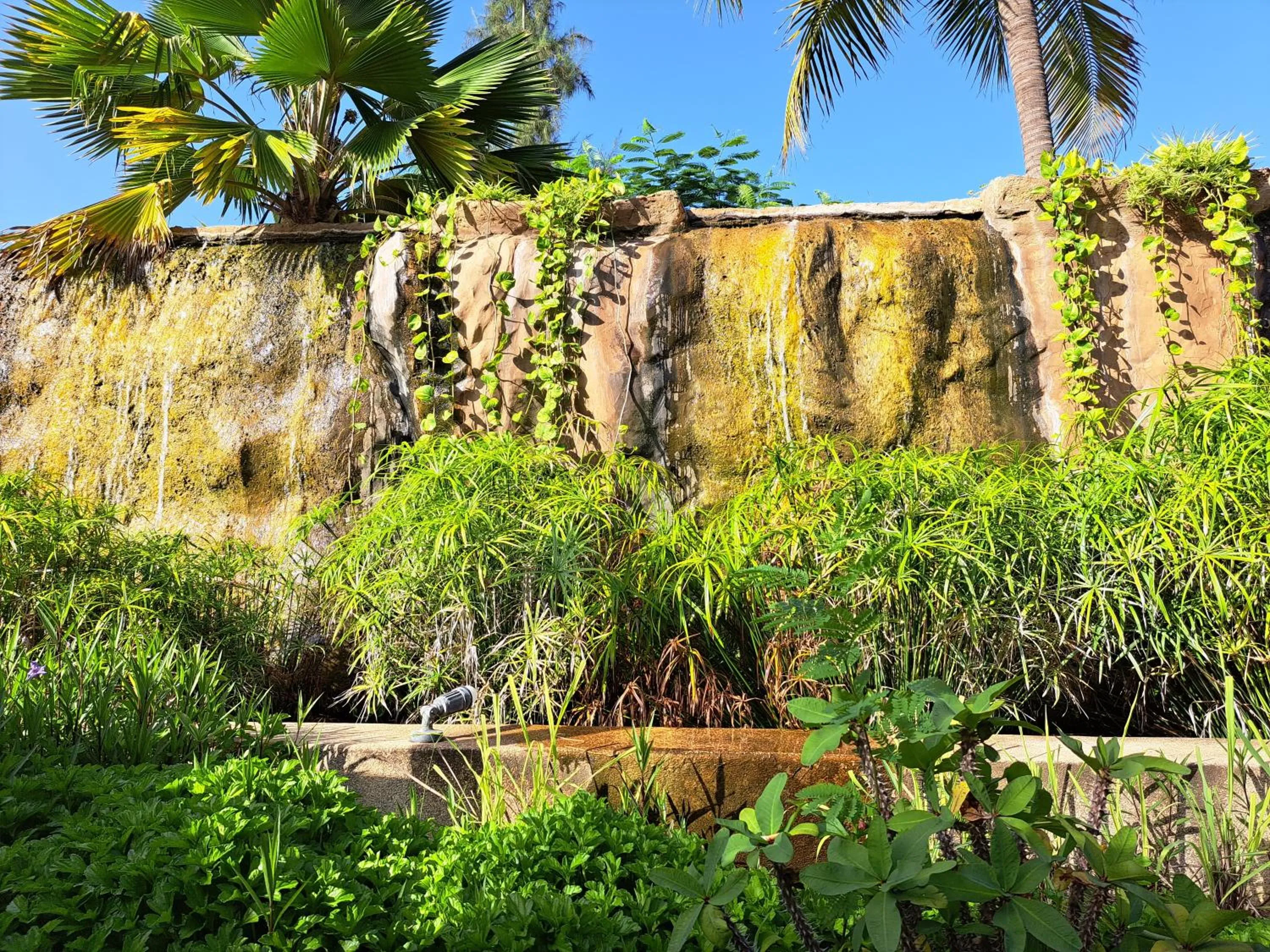 Garden in Neptune