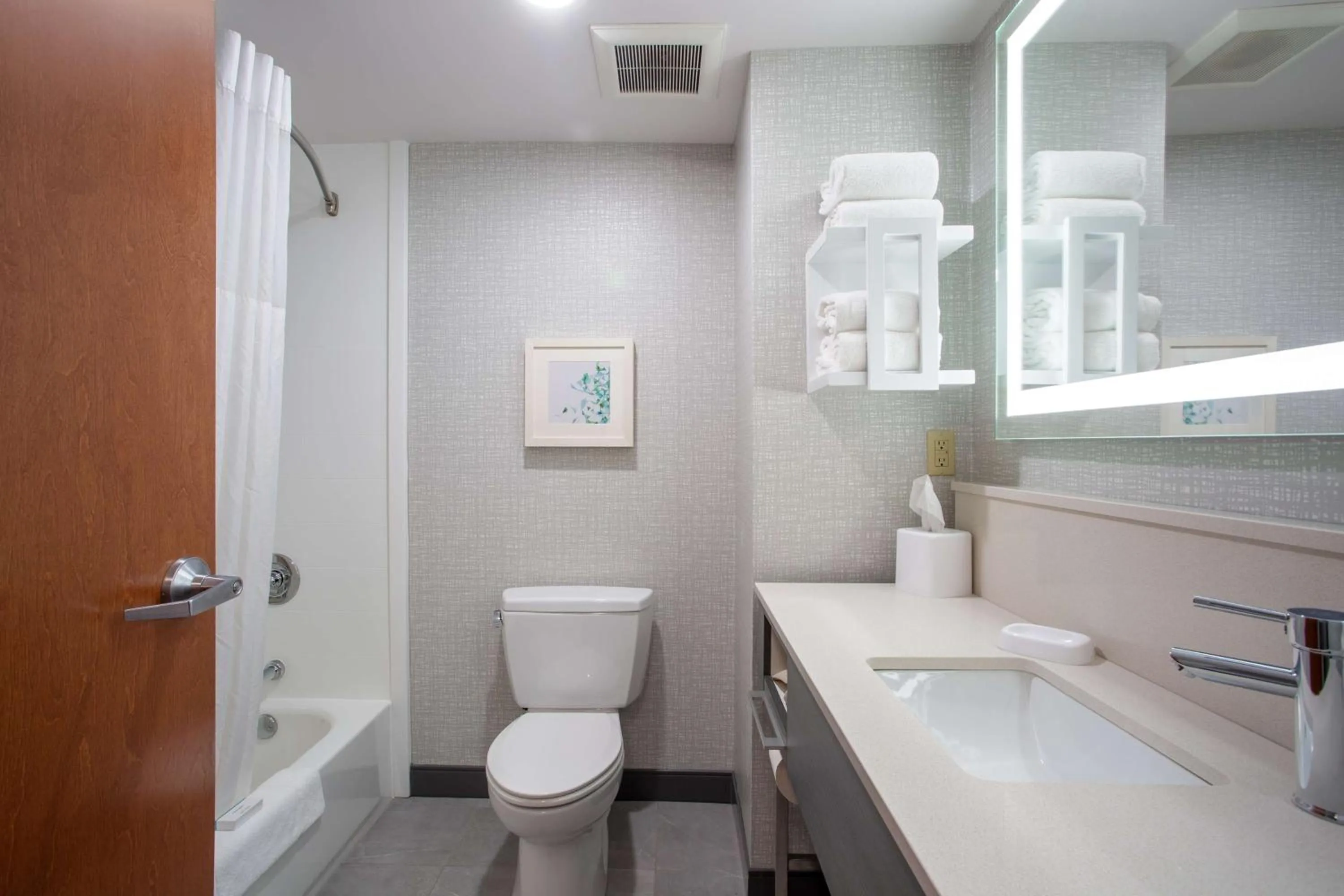 Bathroom in Hampton Inn Elkins