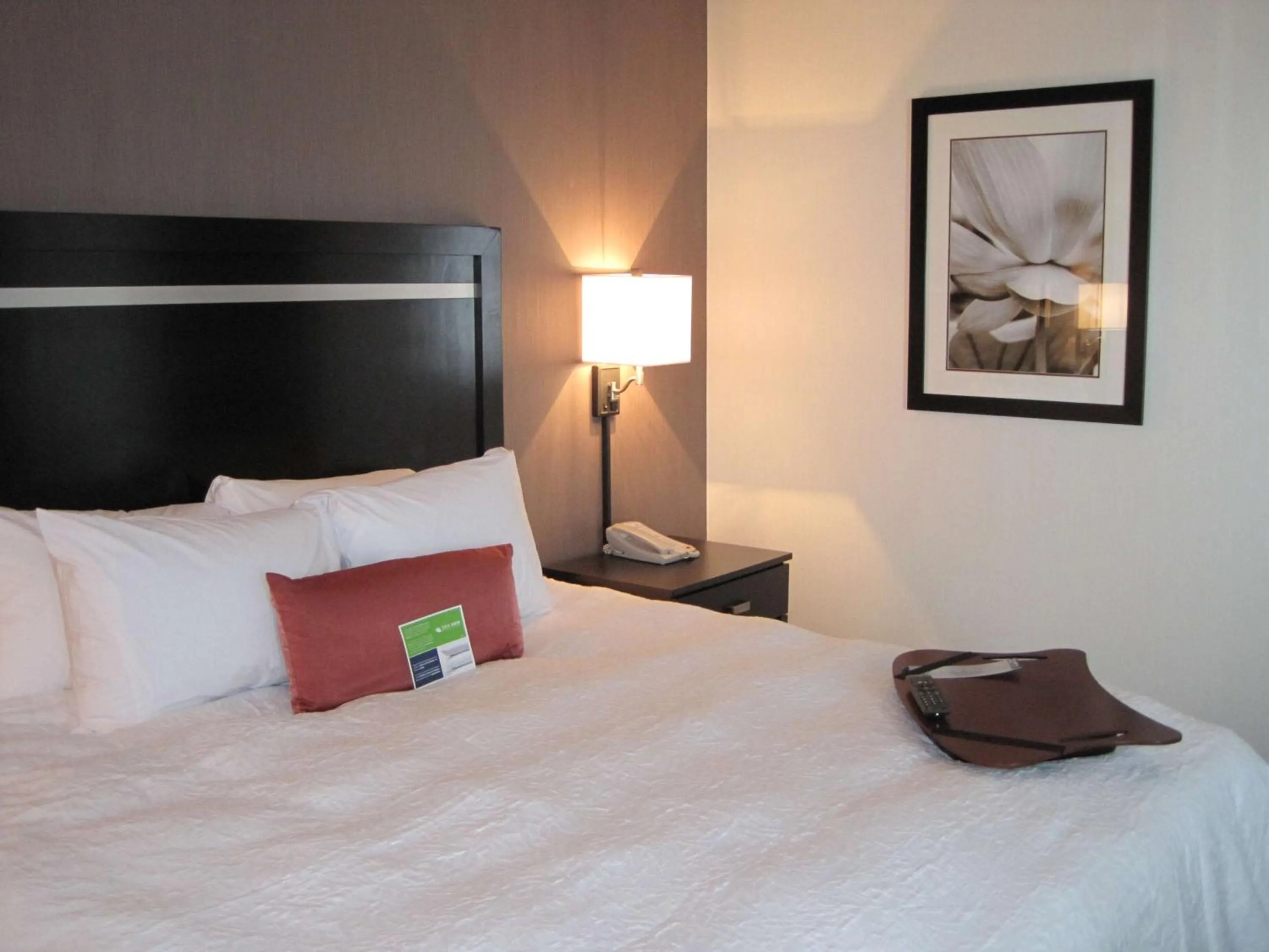 King Room with King Bed - Non-Smoking in Hampton Inn by Hilton Fort Saskatchewan