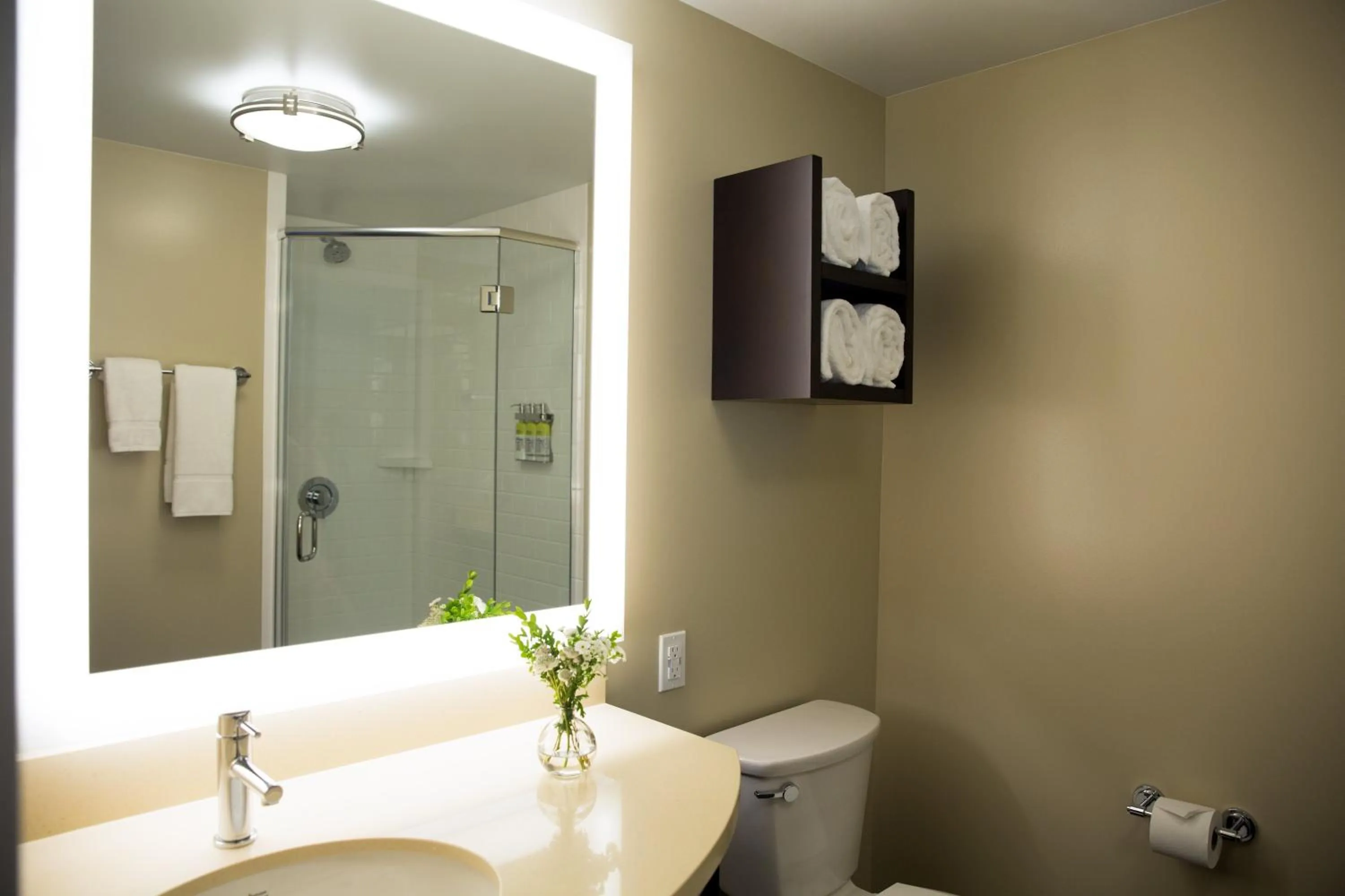 Studio Suite in Staybridge Suites Seattle - South Lake Union by IHG