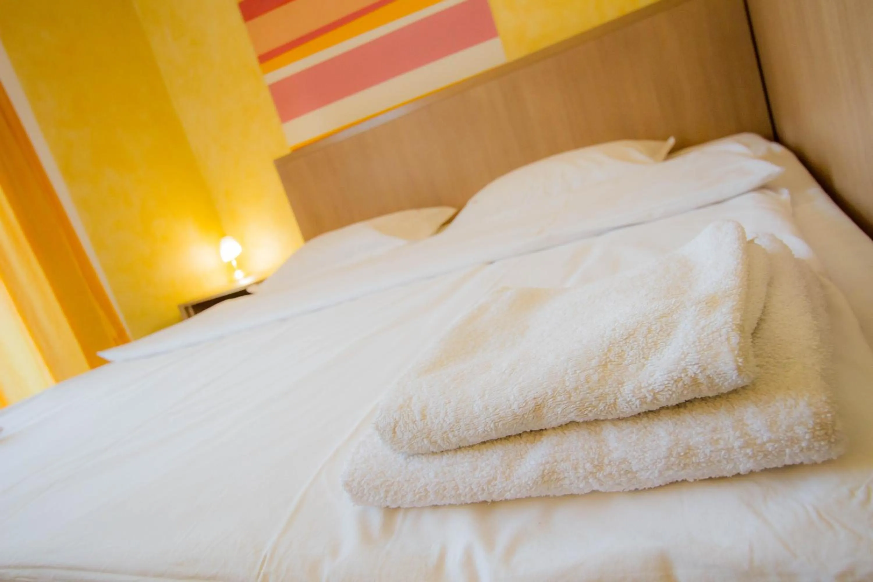 Double Room in Complex Turistic Max International