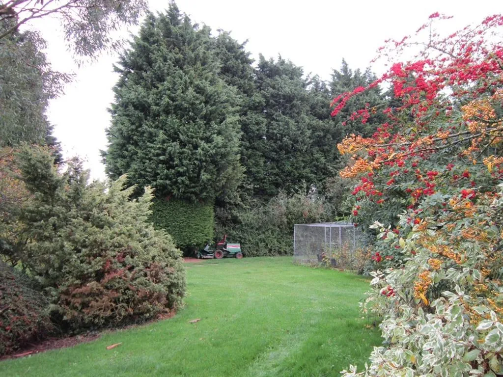 King Room with Garden View in Newmans Hall Bed & Breakfast
