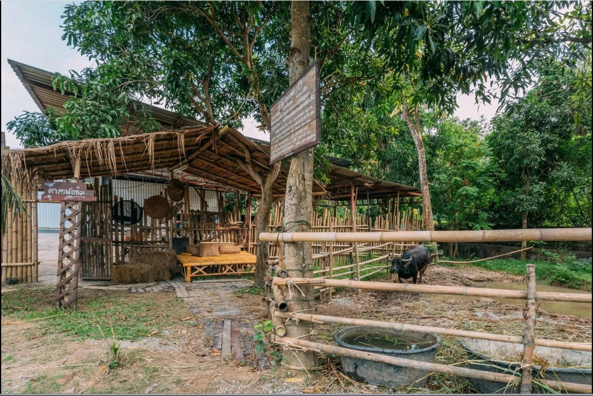 Deluxe Twin Room in Phuket Nonnita Boutique Resort - SHA Plus