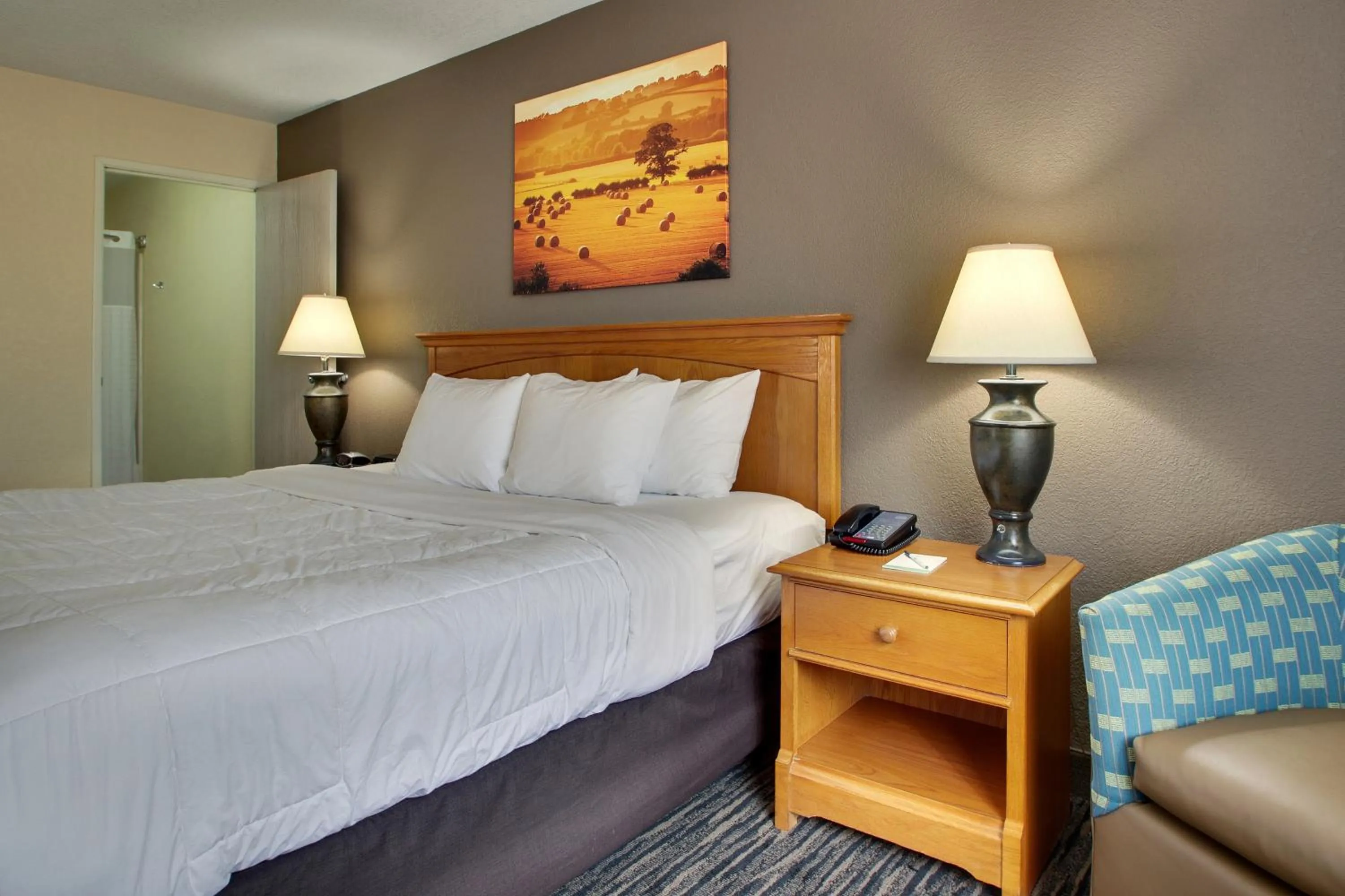 Standard Single Room - single occupancy in EverSpring Inn & Suites