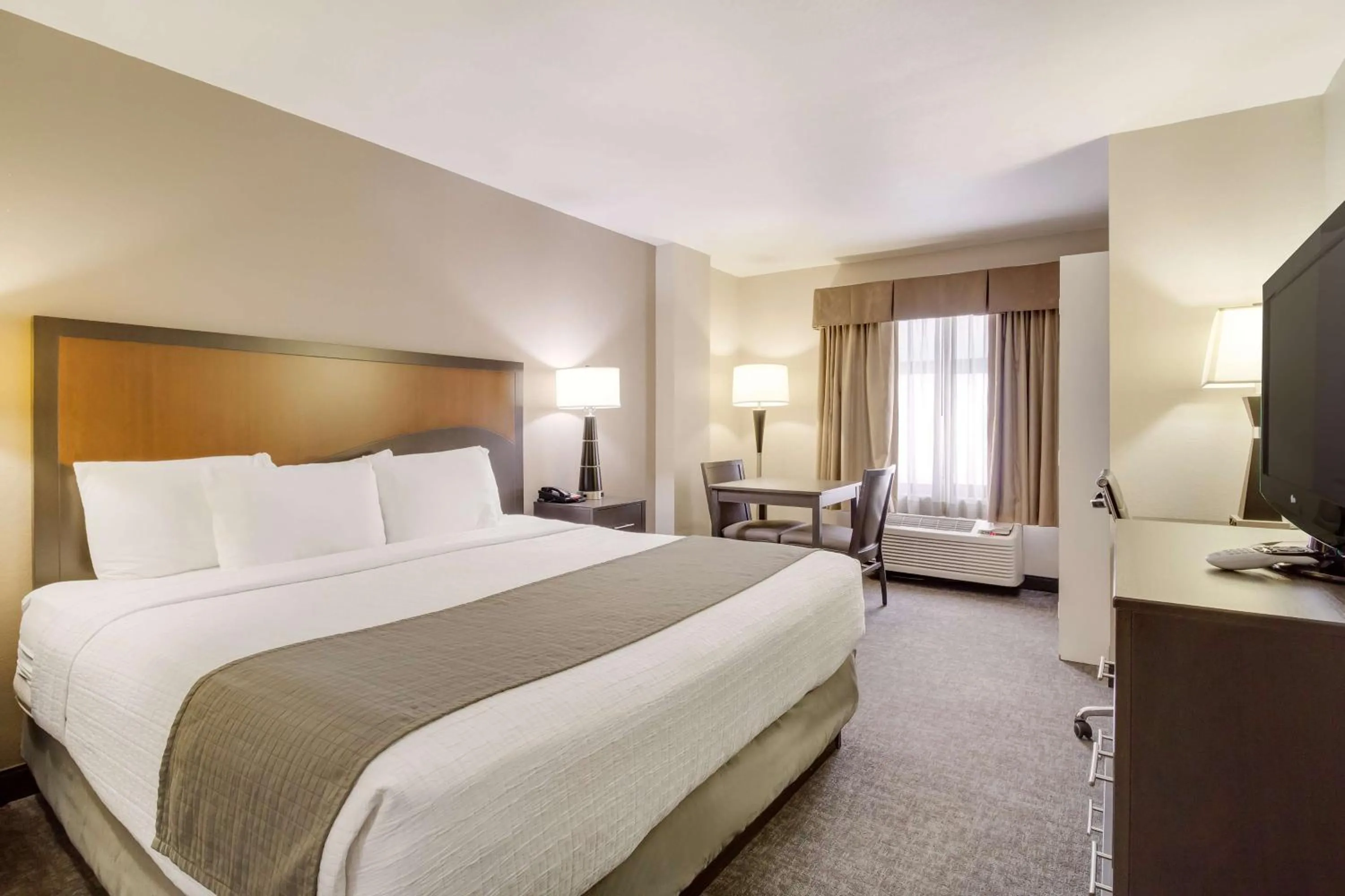 King Room in SureStay Plus Hotel by Best Western Houston Medical Center