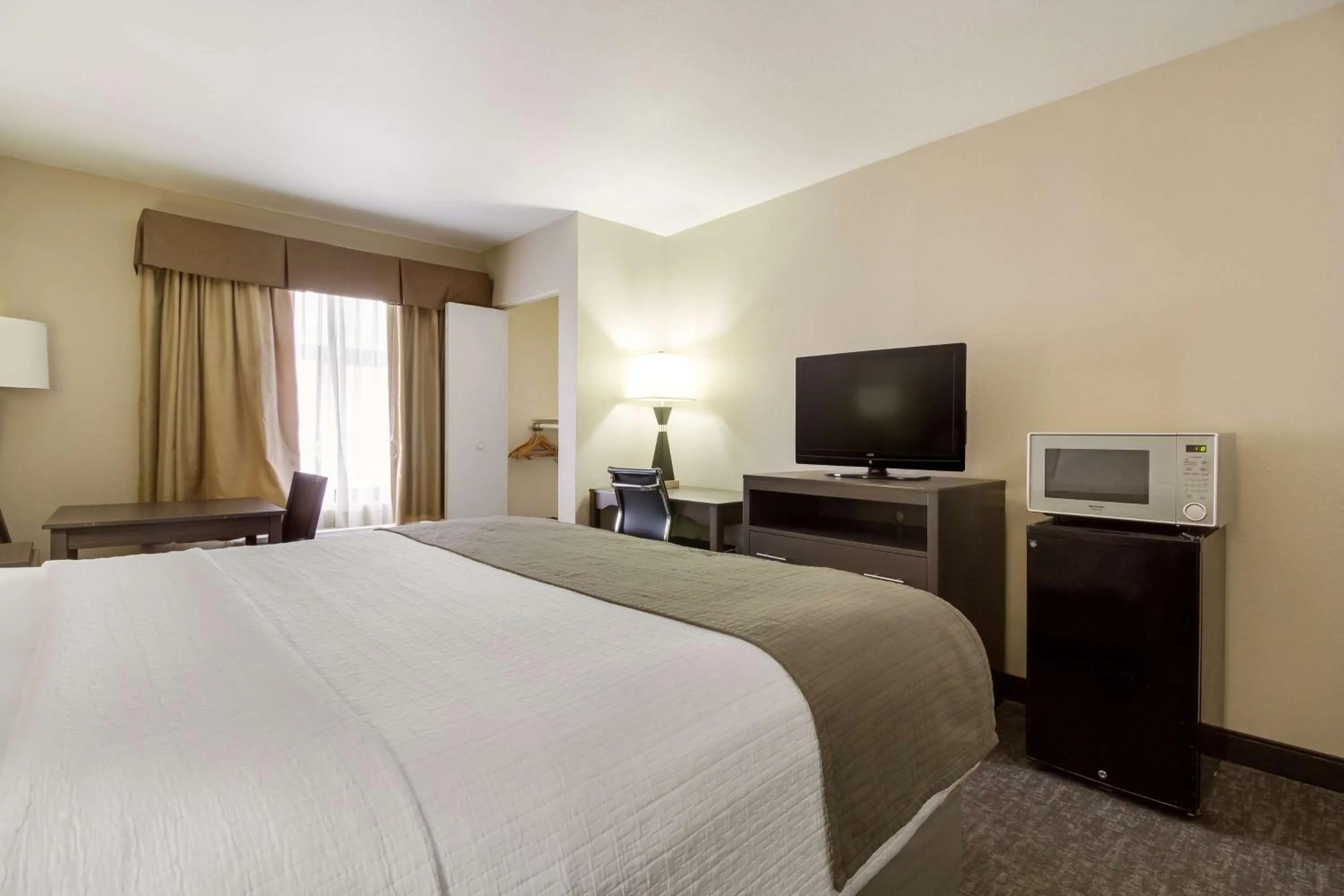 King Room with Roll-In Shower - Disability Access in SureStay Plus Hotel by Best Western Houston Medical Center