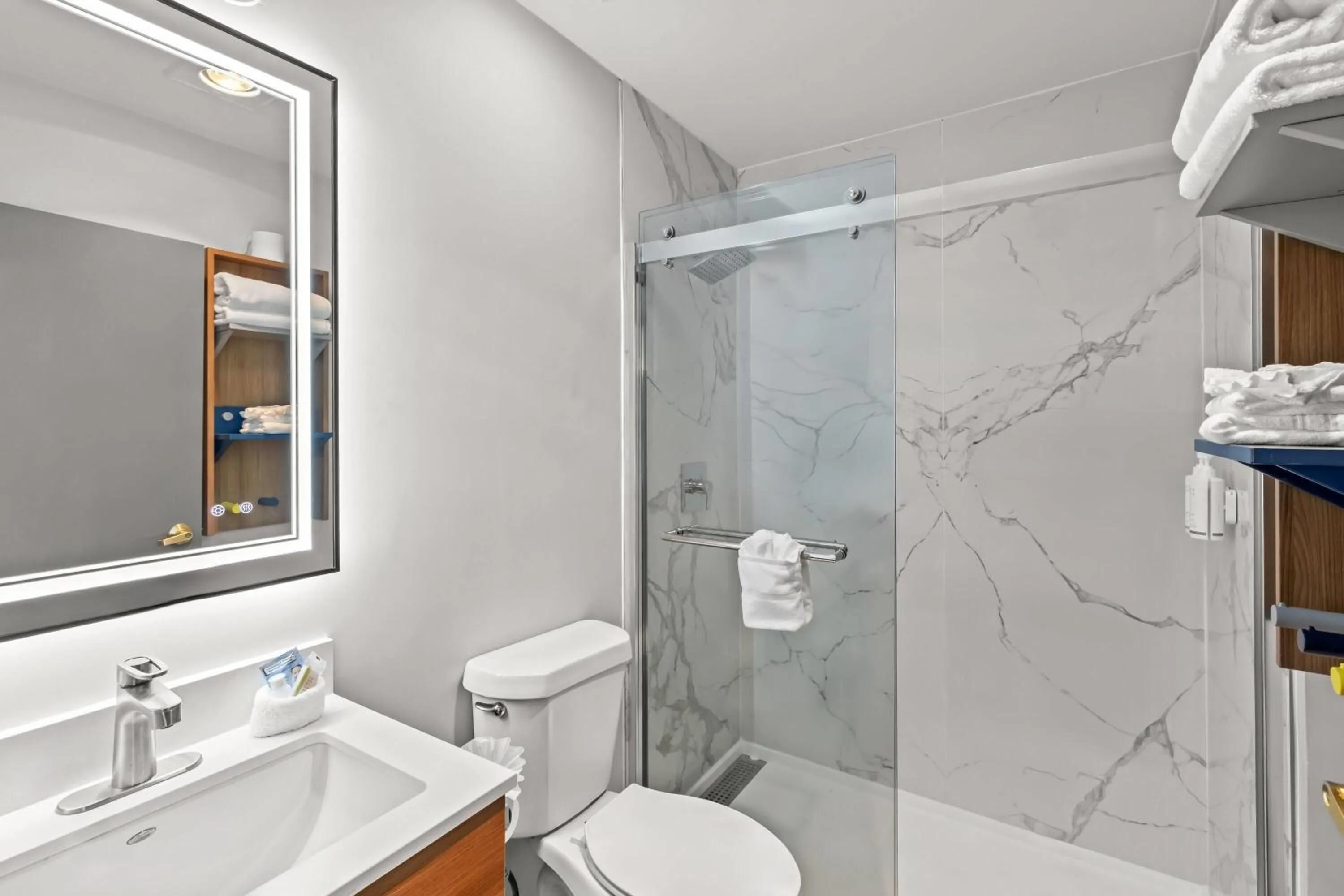 Queen Room - Non-Smoking in Microtel Inn & Suites by Wyndham Norcross