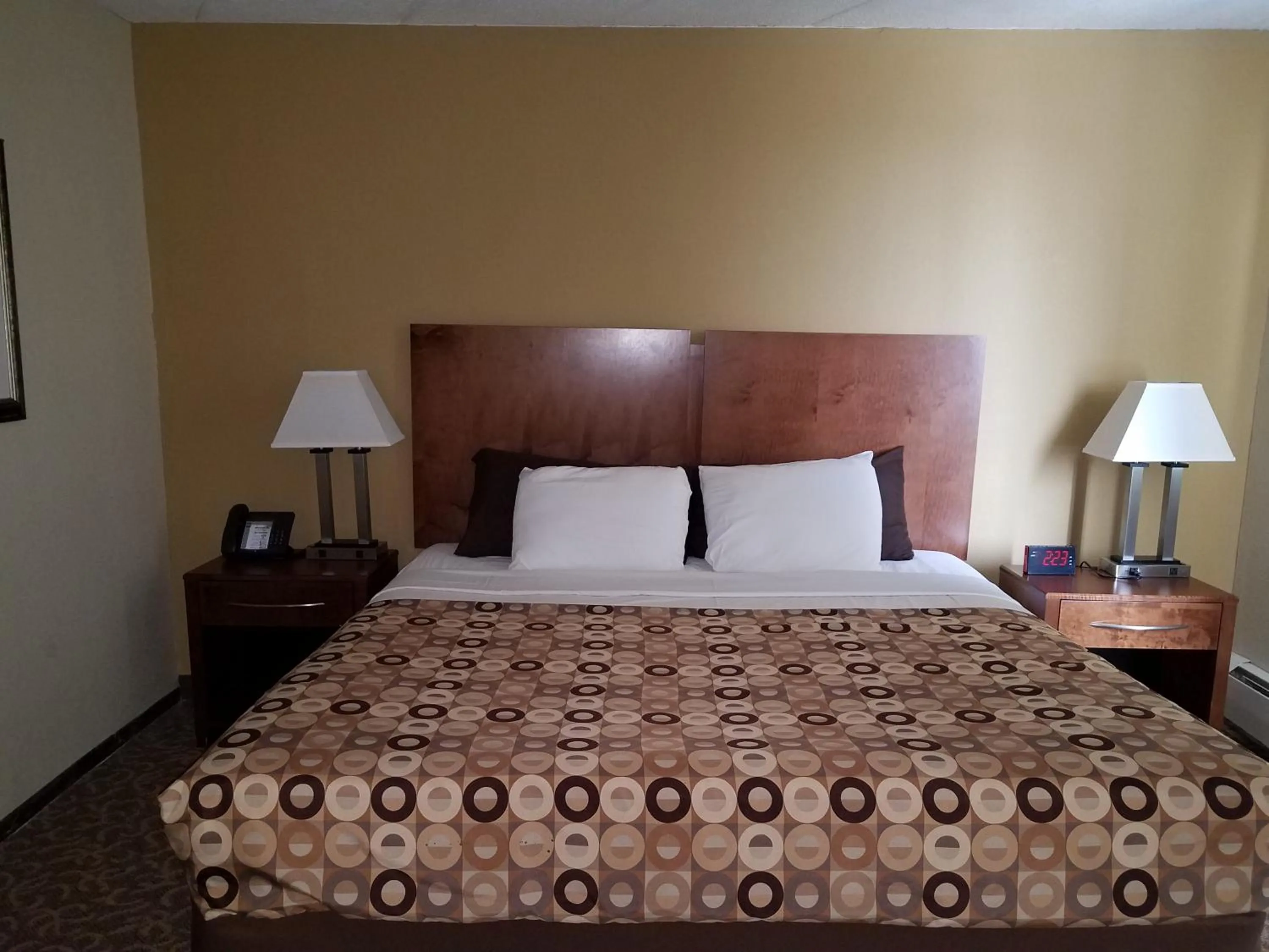 King Room - Non-Smoking in Red Carpet Inn Rochester