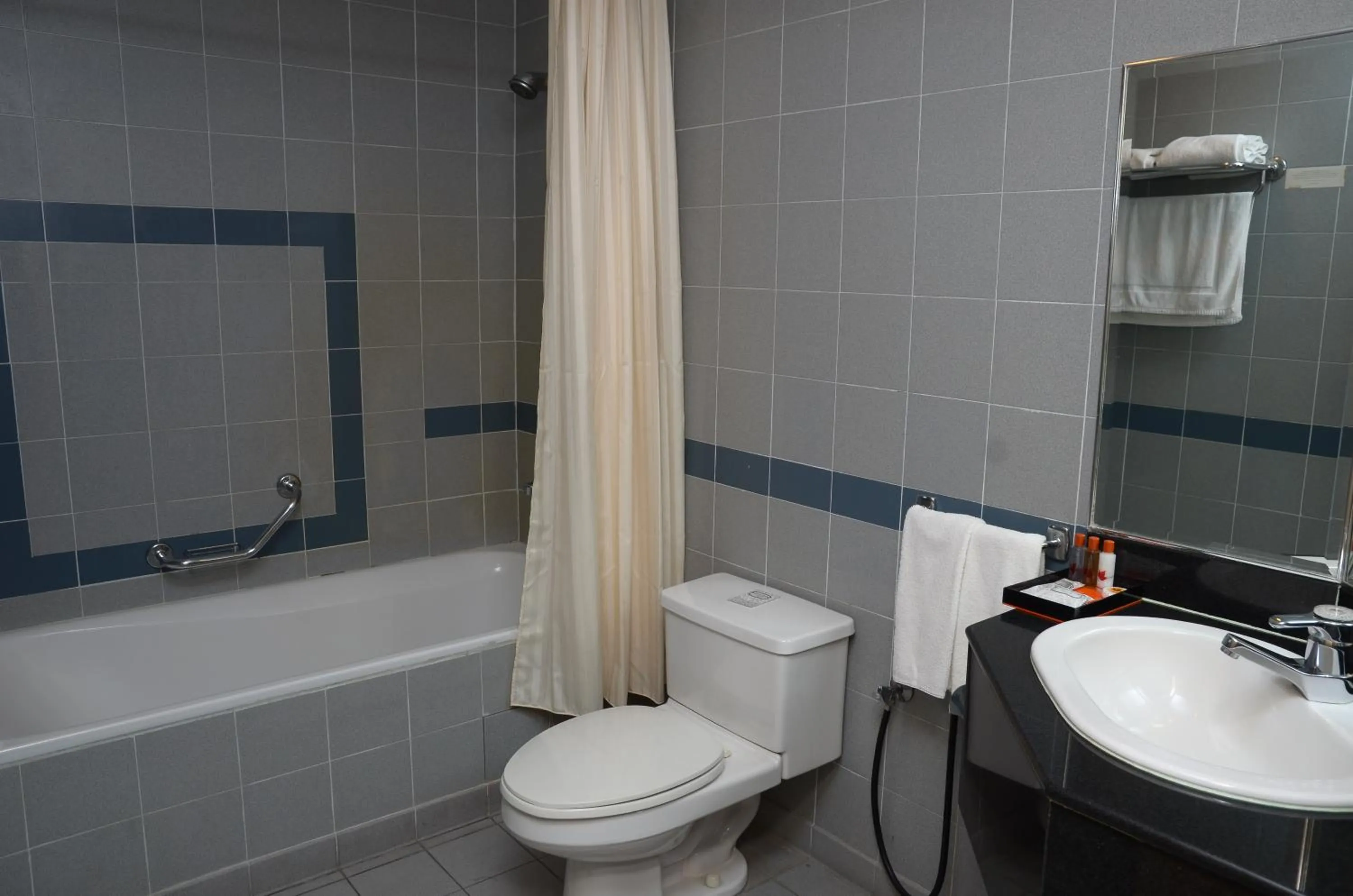 Deluxe One-Bedroom Apartment in The Maple Suite