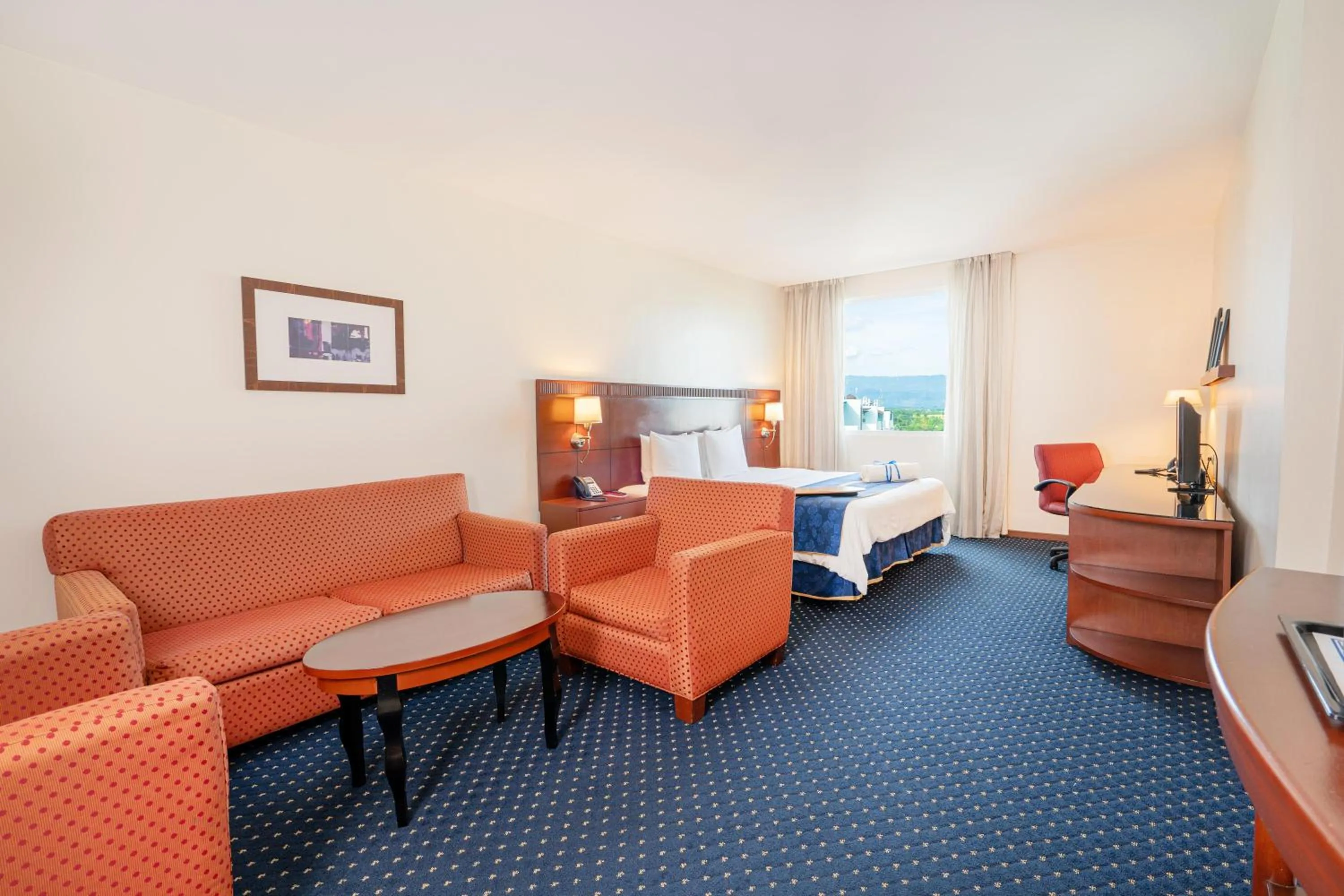 Junior Suite in Hodelpa Garden Court