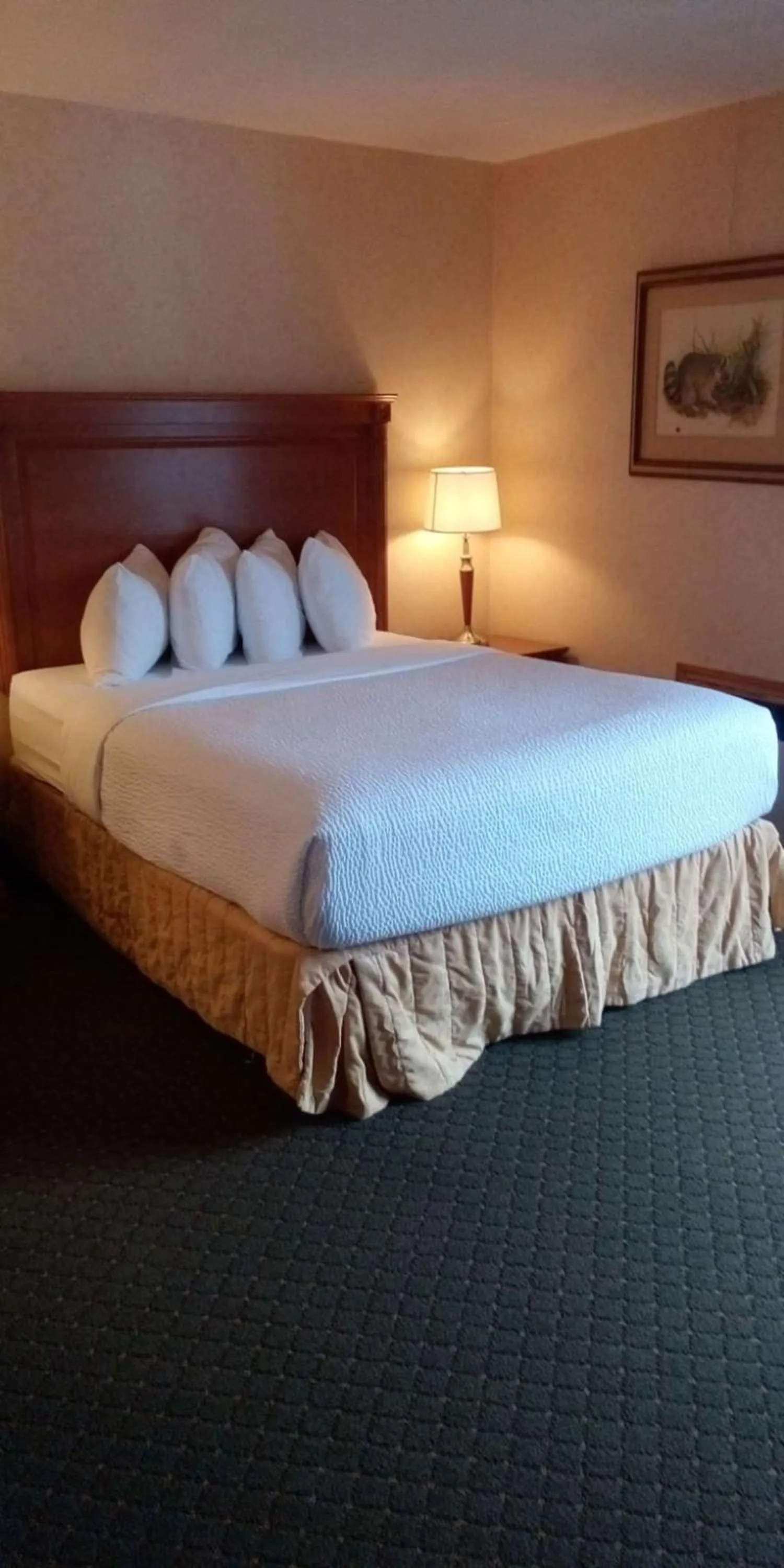 Queen Room with River View - Non-smoking in Best Western Plus Otonabee Inn