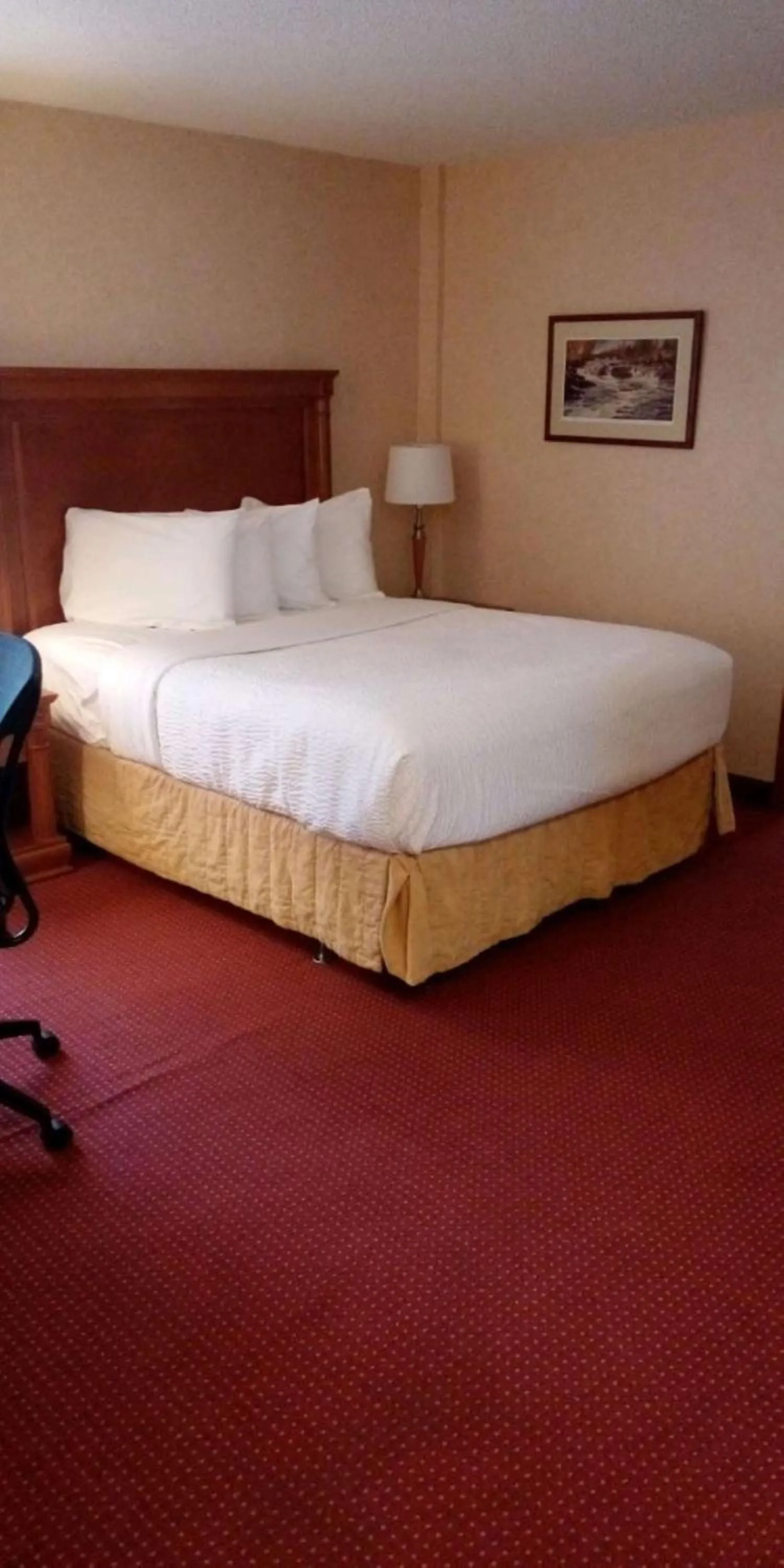 Queen Suite with Sofa Bed with Kitchenette - Non-smoking in Best Western Plus Otonabee Inn