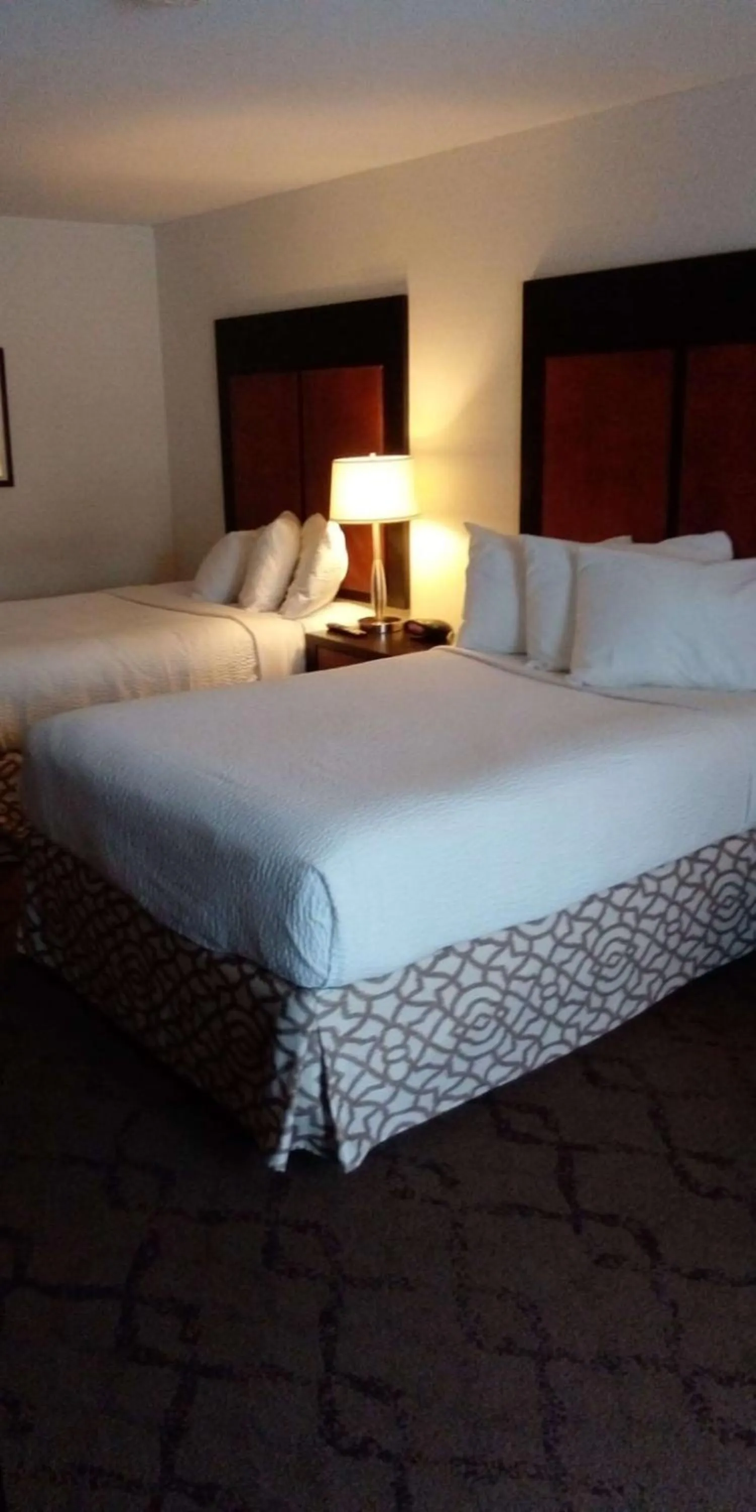 Double Room with Two Double Beds with River View - Non-smoking in Best Western Plus Otonabee Inn