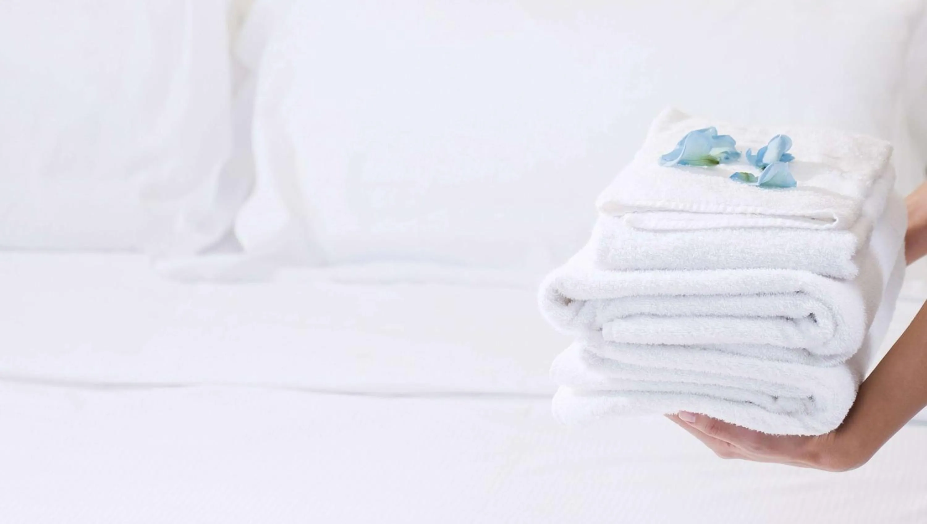 Double Room with Two Double Beds - Non-Smoking in Magnuson Hotel Bradenton