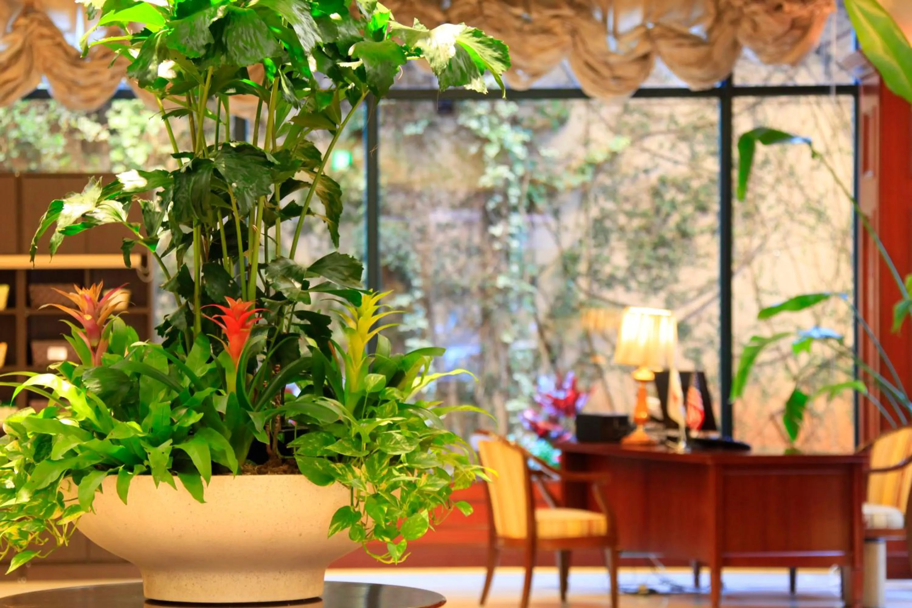 Double Room - Non-Smoking - Top Floor in Quintessa Hotel Sasebo