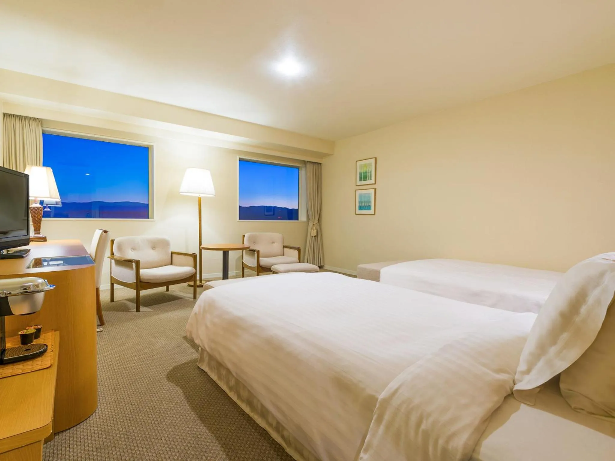 Deluxe Twin Room - single occupancy - Non-Smoking in Art Hotel Asahikawa