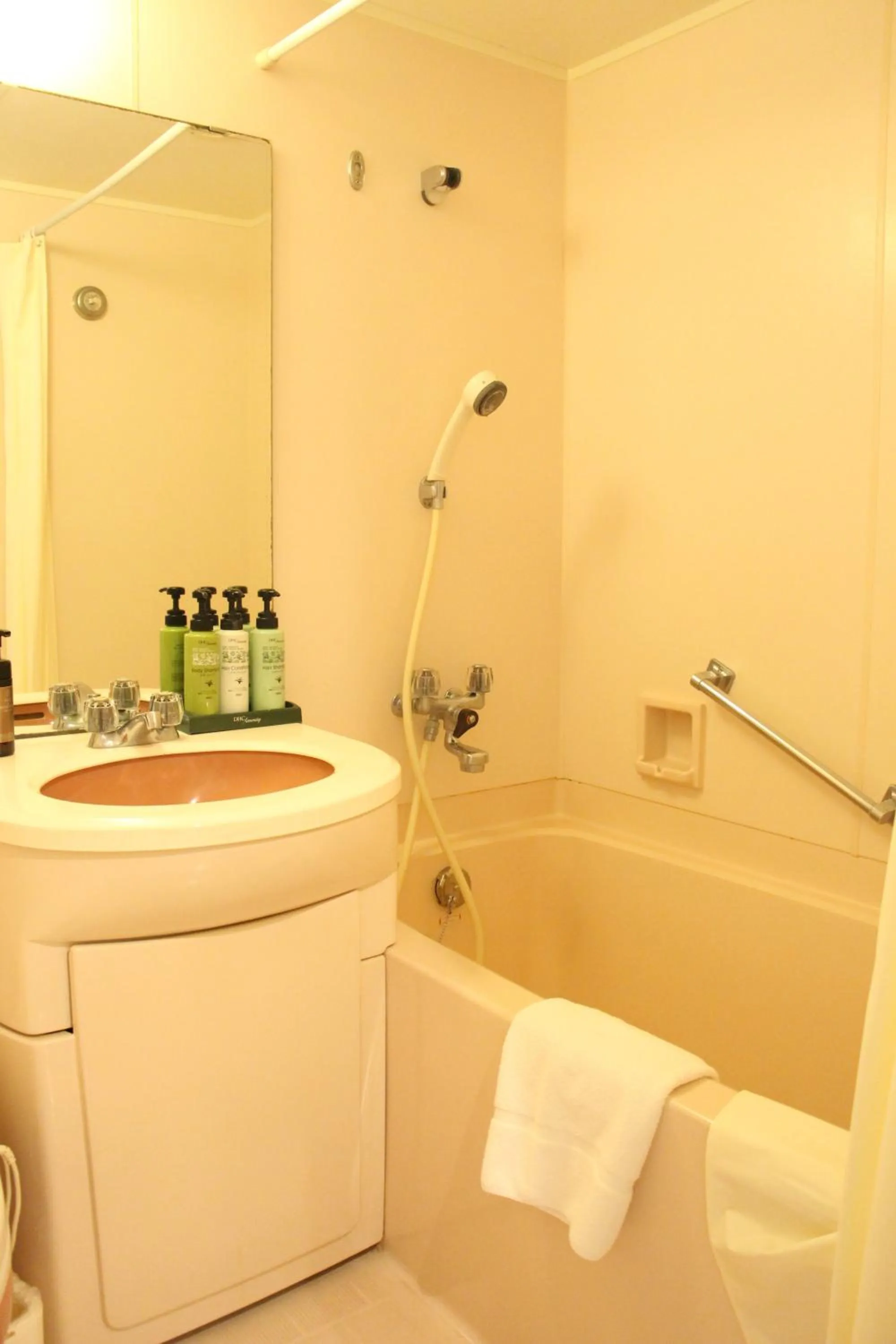 Standard Queen Room - single occupancy - Smoking in Art Hotel Asahikawa