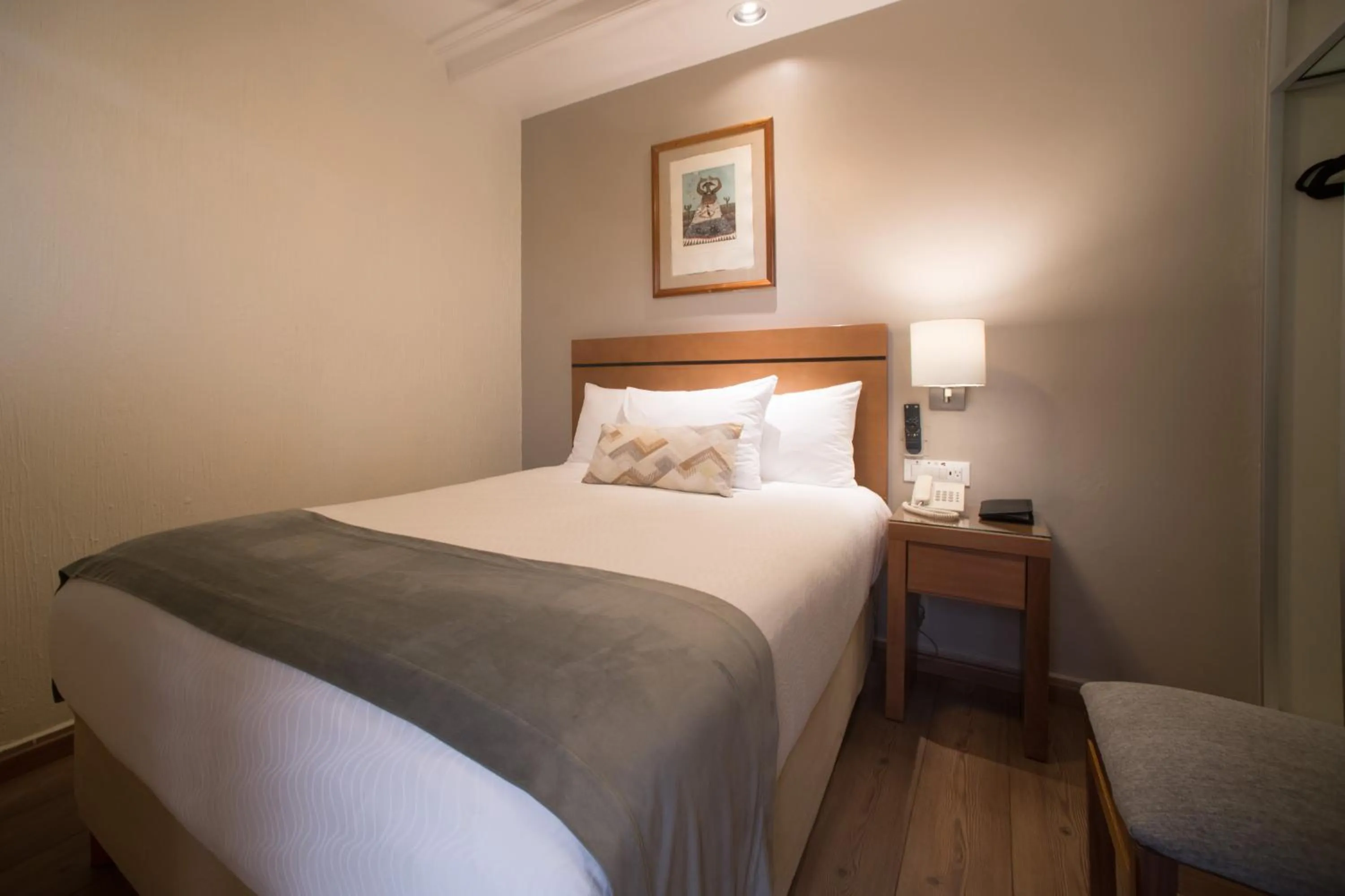 Small Single Room - single occupancy in Hotel Abu