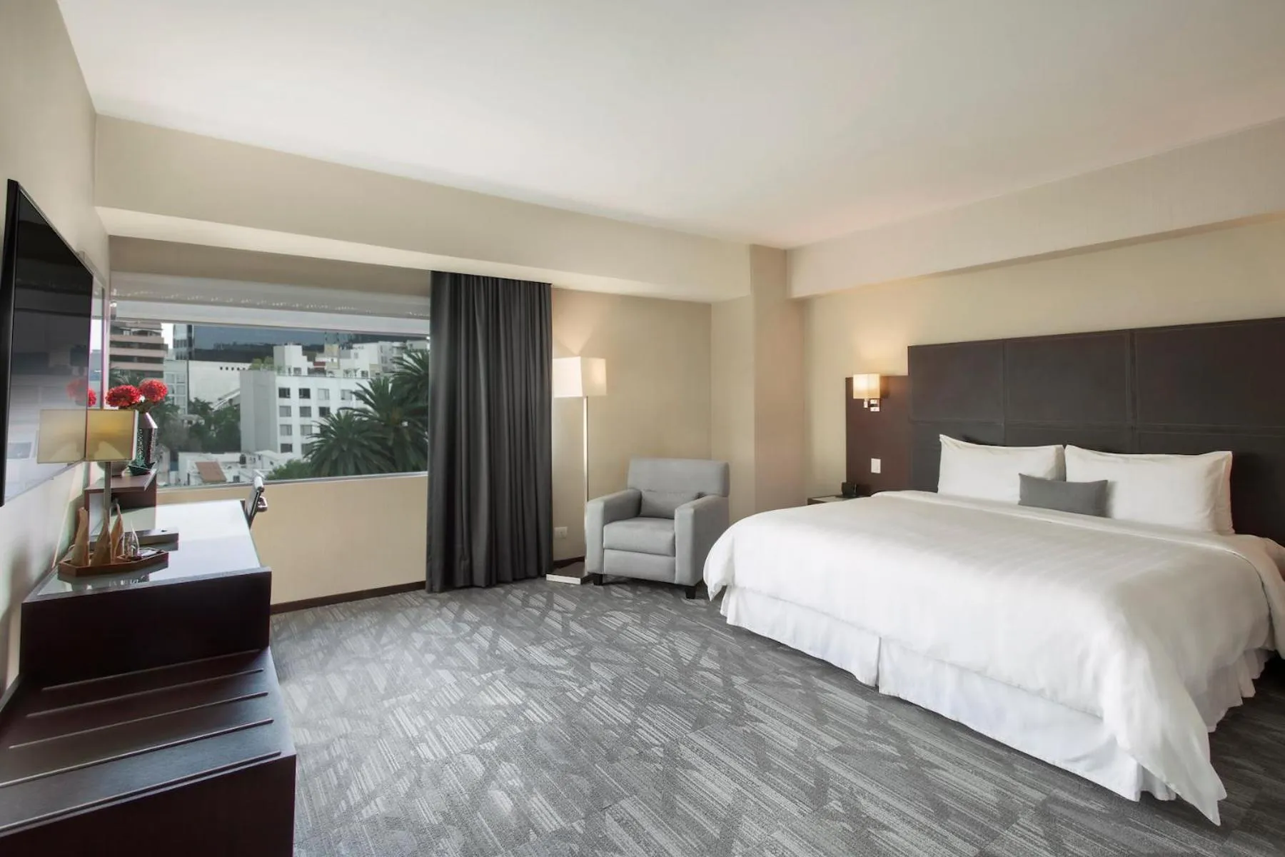 Suite in Hotel Novit