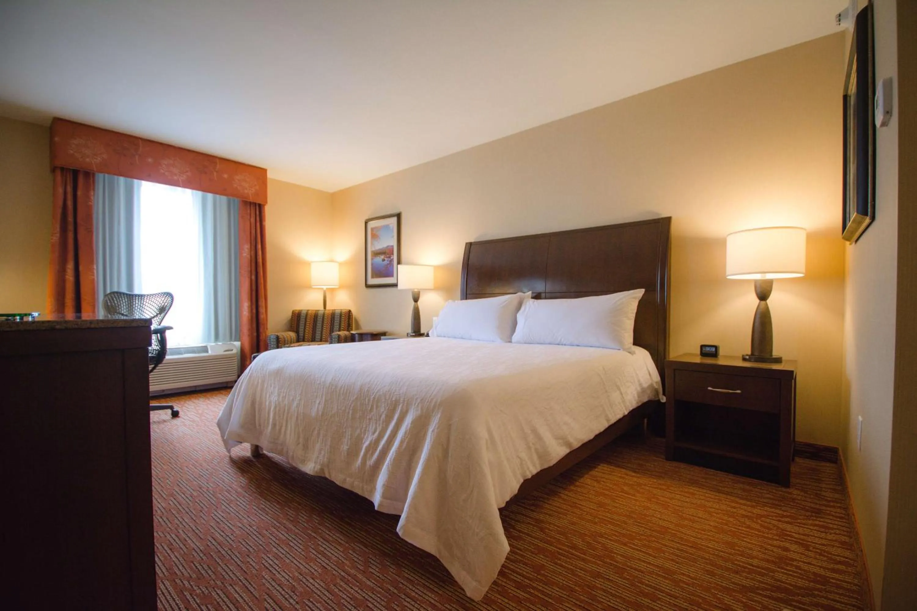 Premium King Room in Hilton Garden Inn Watertown