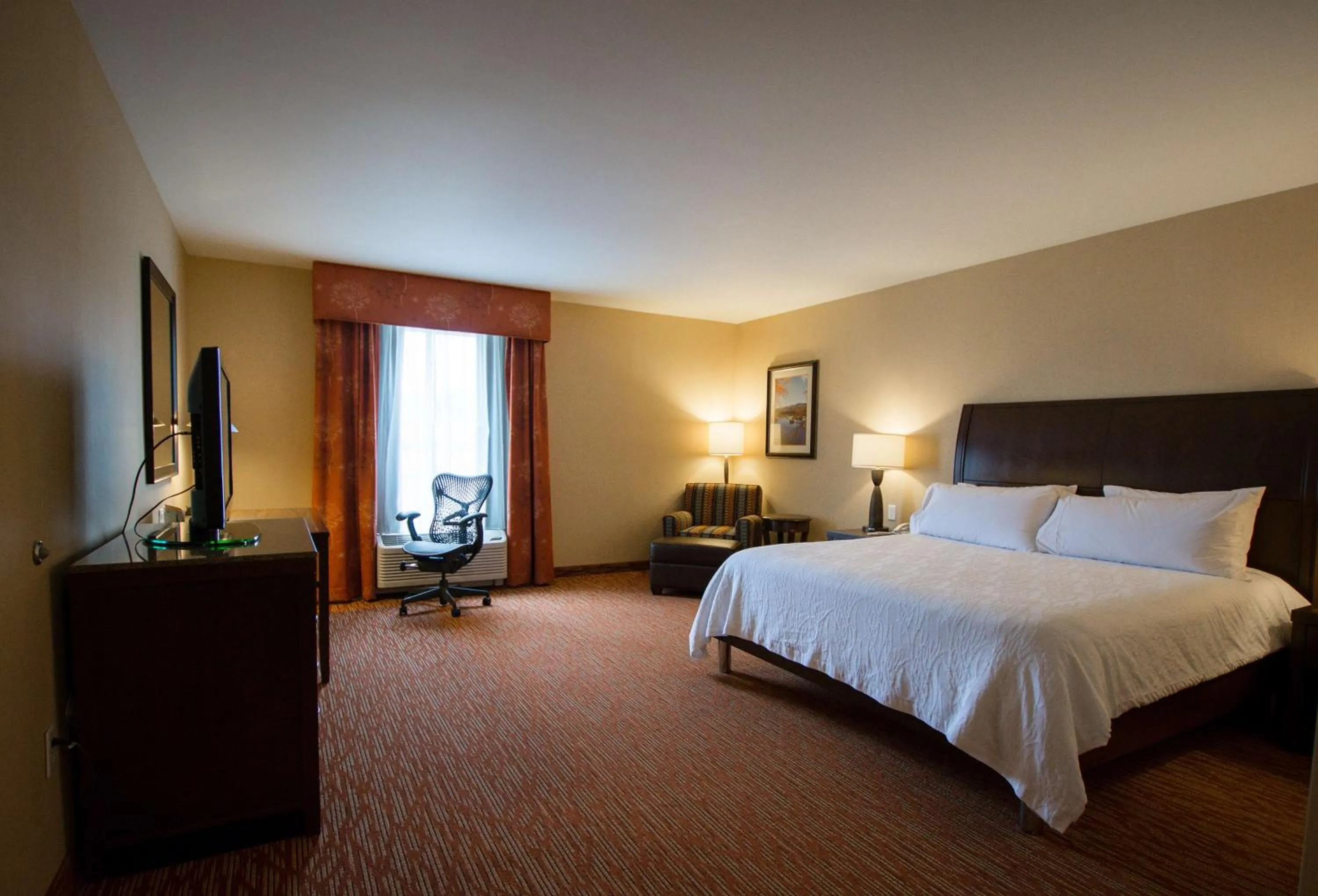 King Room with Roll-In Shower - Mobility/Hearing Accessible in Hilton Garden Inn Watertown