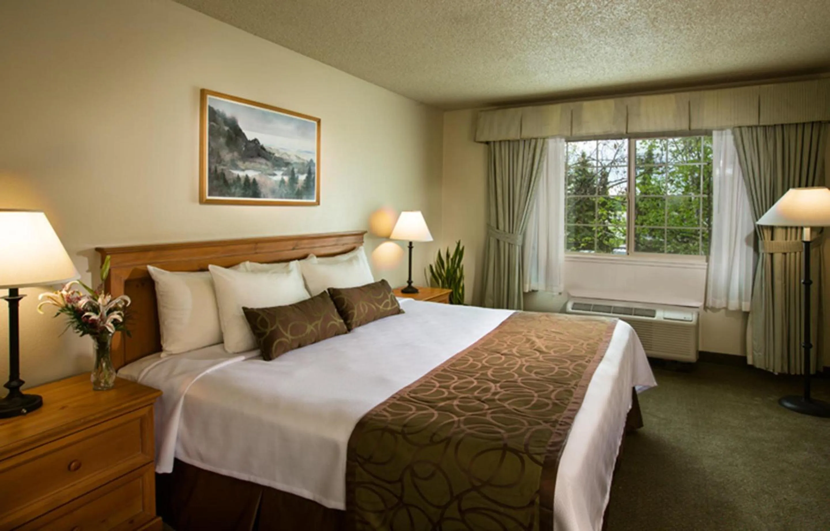 Superior King Suite in Coast Inn at Lake Hood