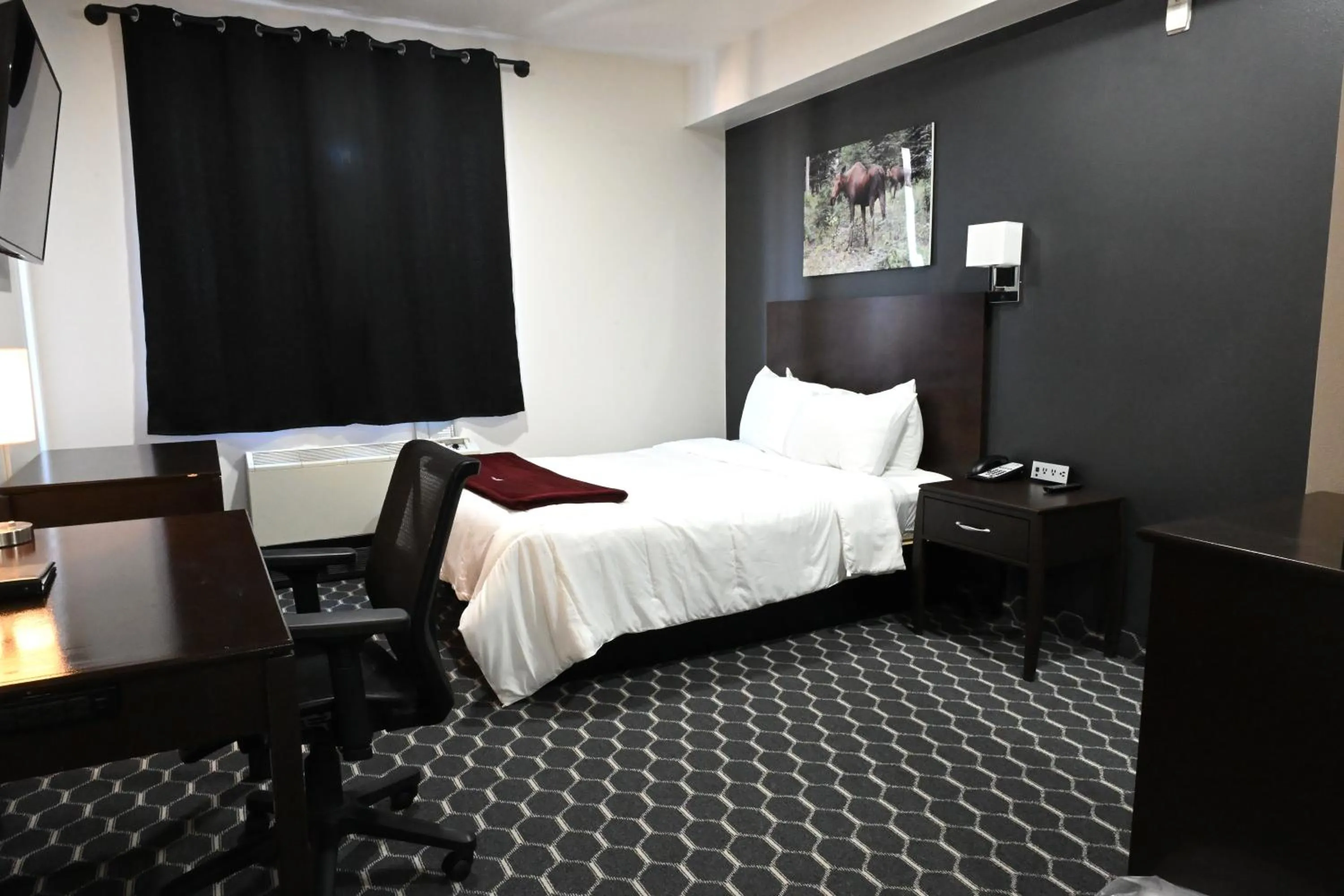 Deluxe Queen Room - single occupancy in Puffin Inn