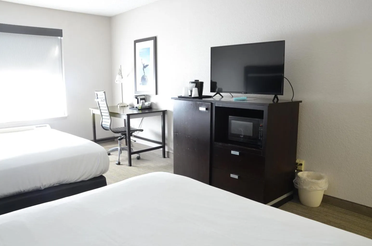One-Bedroom King Suite - Non-Smoking in Country Inn & Suites by Radisson, Jacksonville, FL