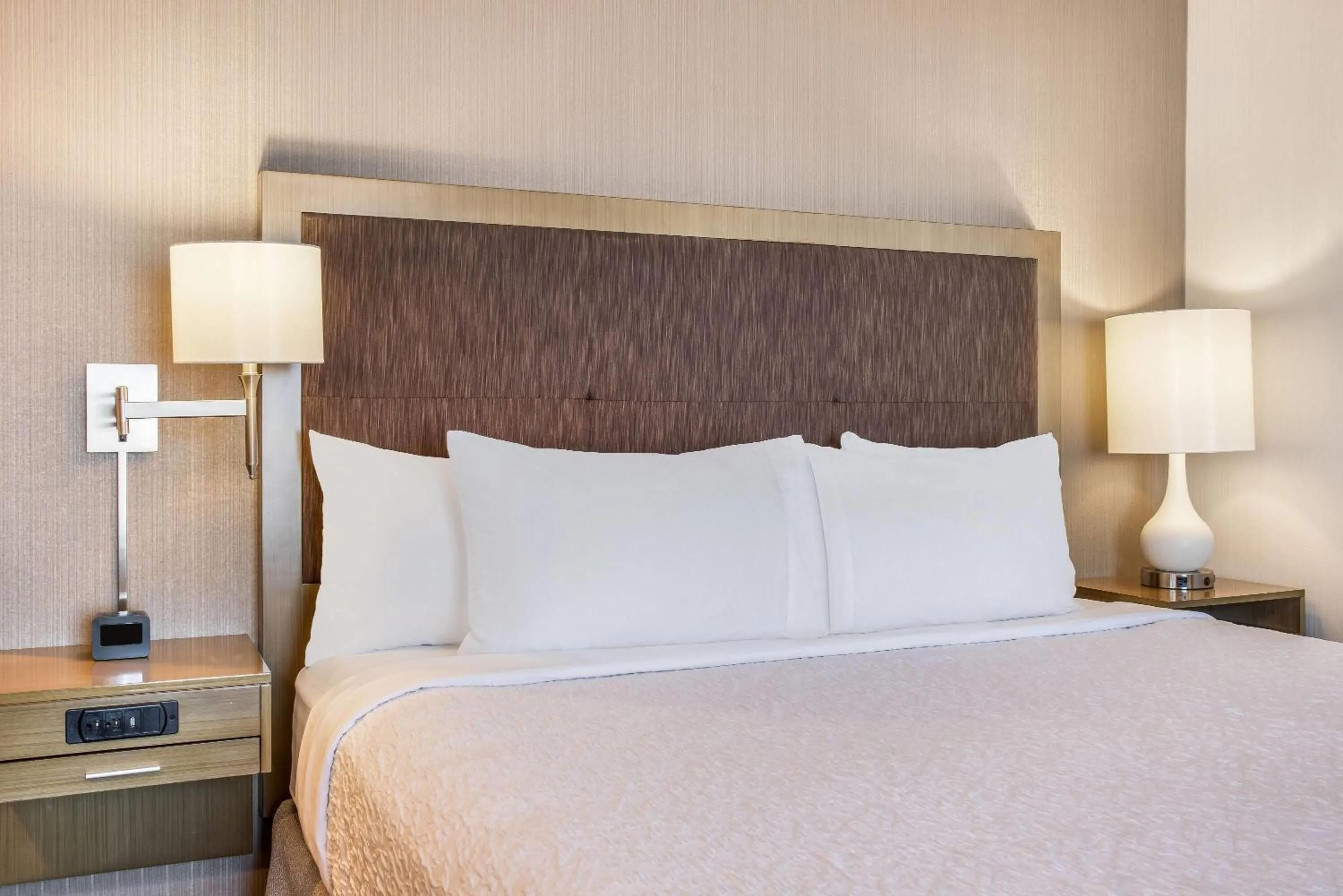 One-Bedroom Executive King Suite - Non-Smoking in Ramada by Wyndham St Paul AB