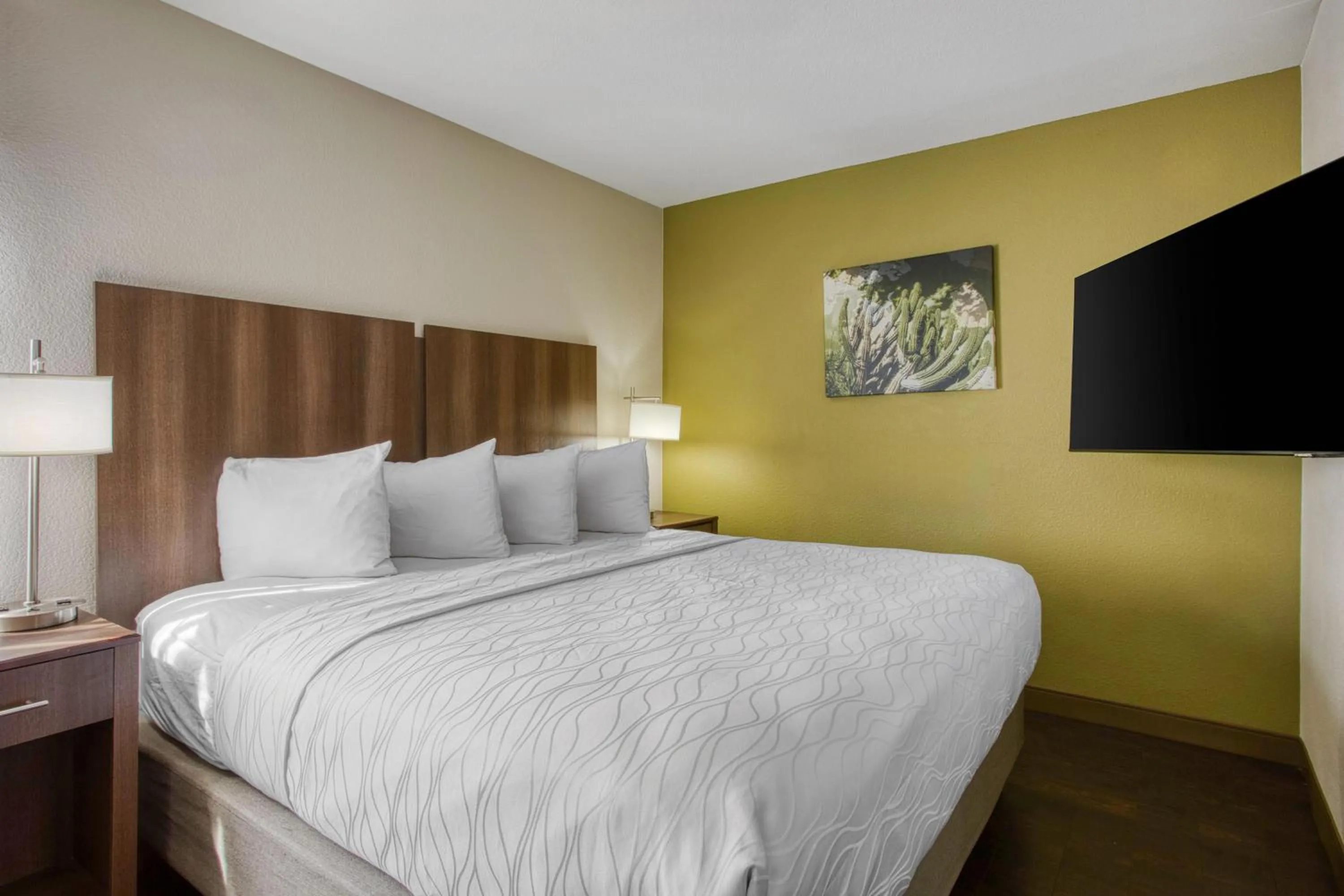 King Room with Roll-In Shower - Pet Friendly/Disability Access in Best Western North Phoenix Hotel