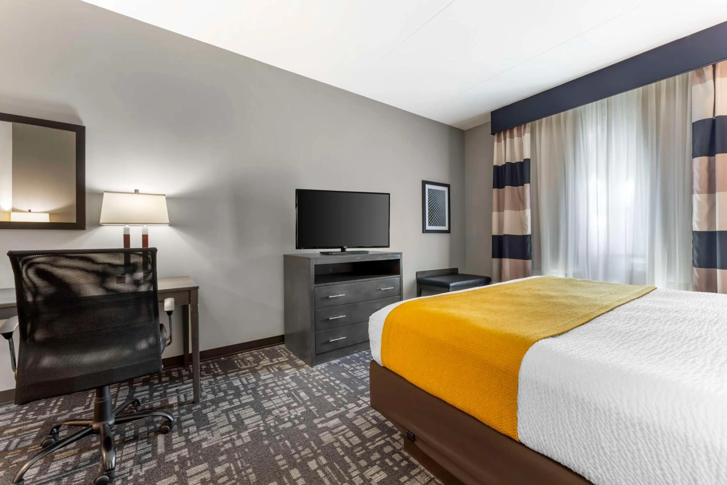 King Room with Roll-in Shower - Disability Access/Non-Smoking in Best Western Plus Cranberry-Pittsburgh North