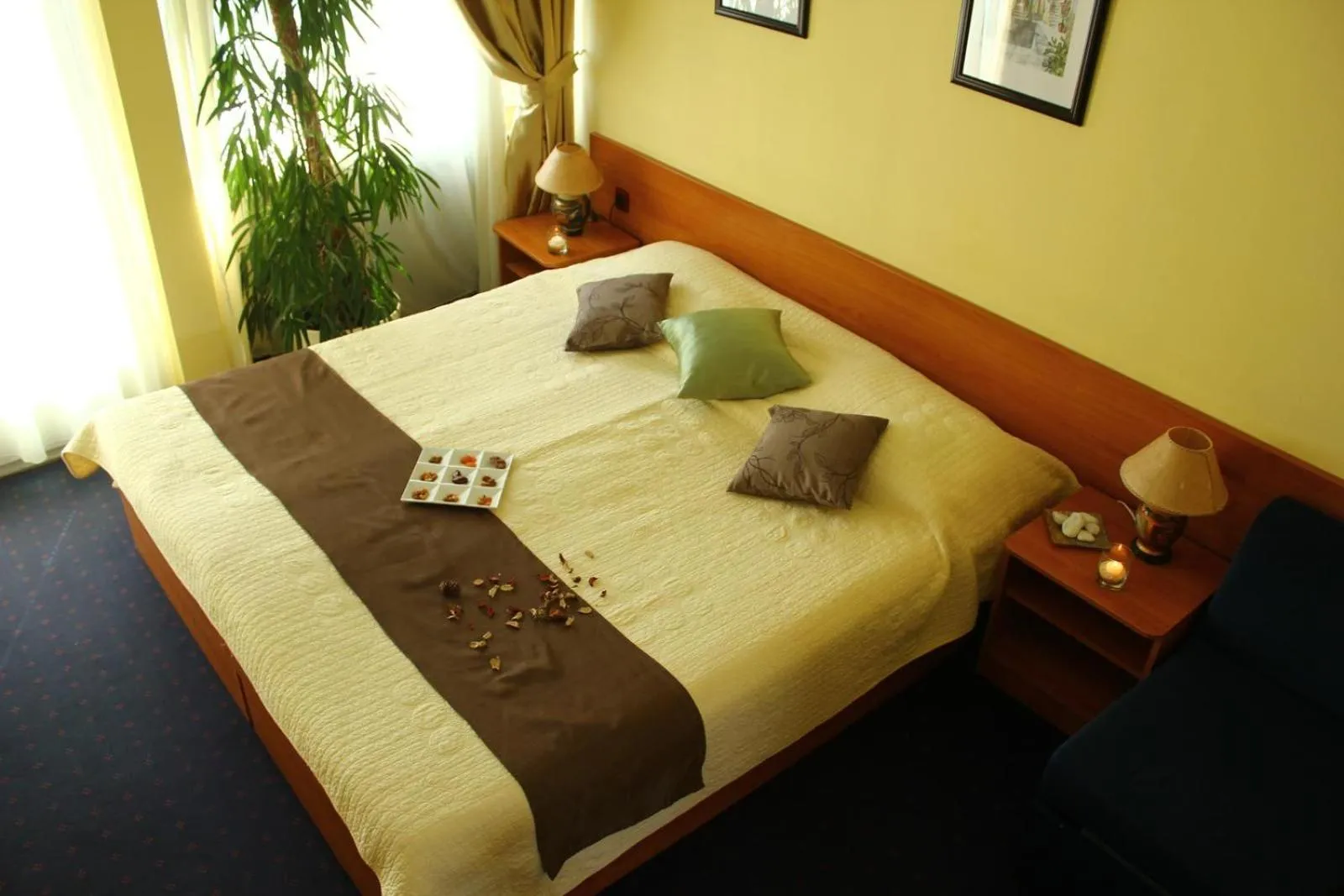 Double Room with Park View - single occupancy in Hotel Pula
