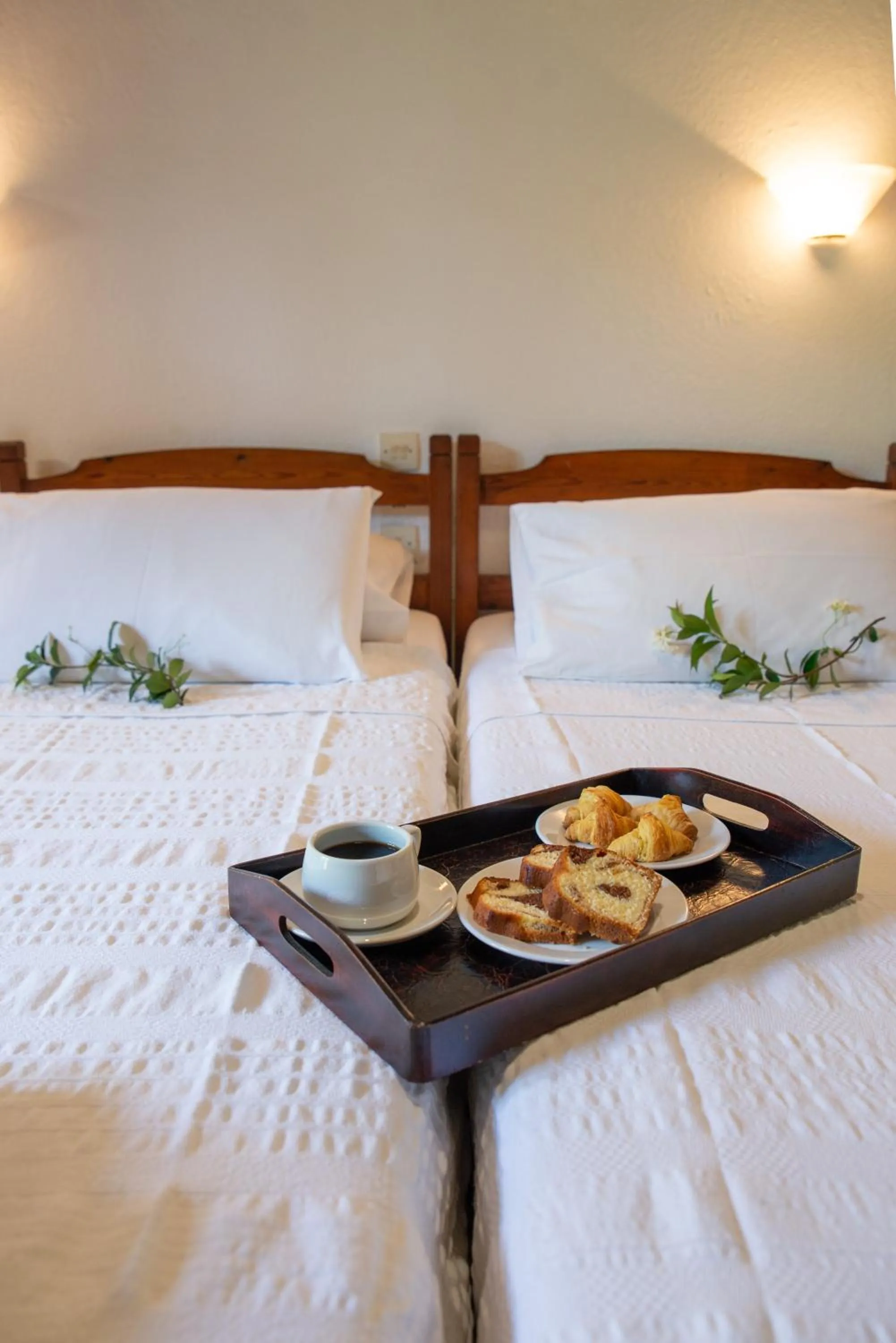 Standard Twin Room with Mountain View in Hotel Cleopatra